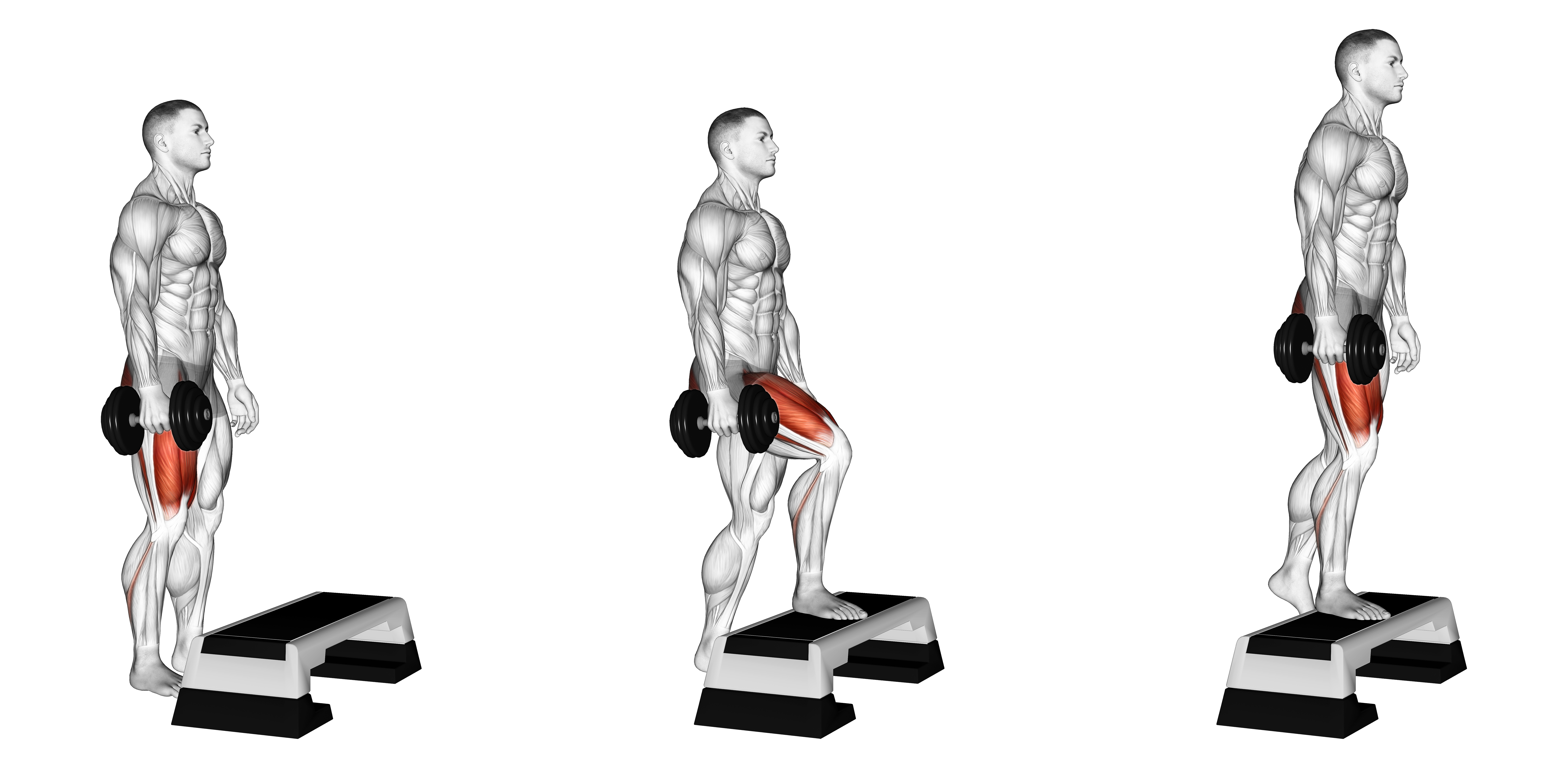 Dumbbell Single Leg Step Up