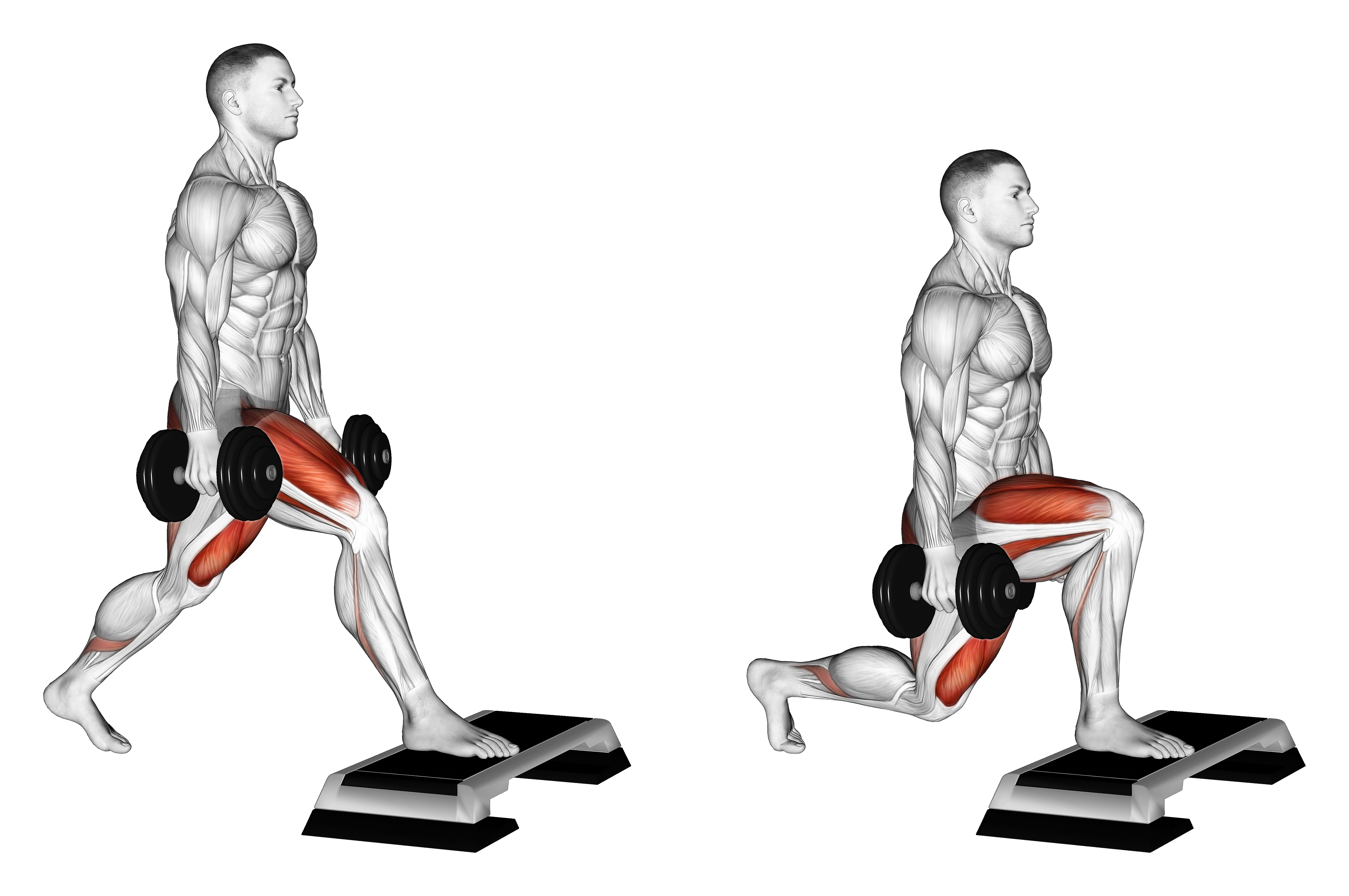 Dumbbell Split Squat Front Foot Elevanted