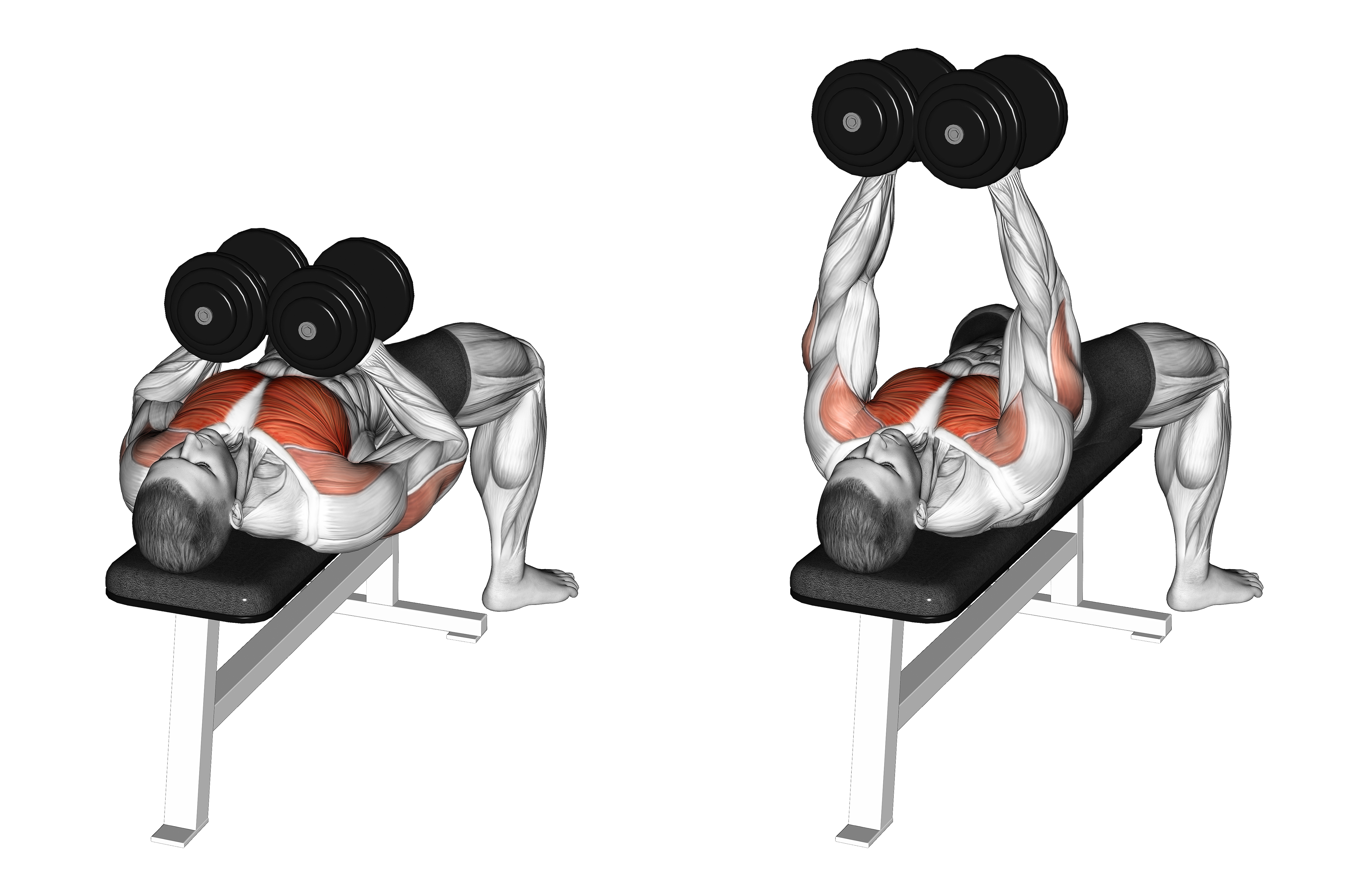 Dumbbell Squeeze Bench Press