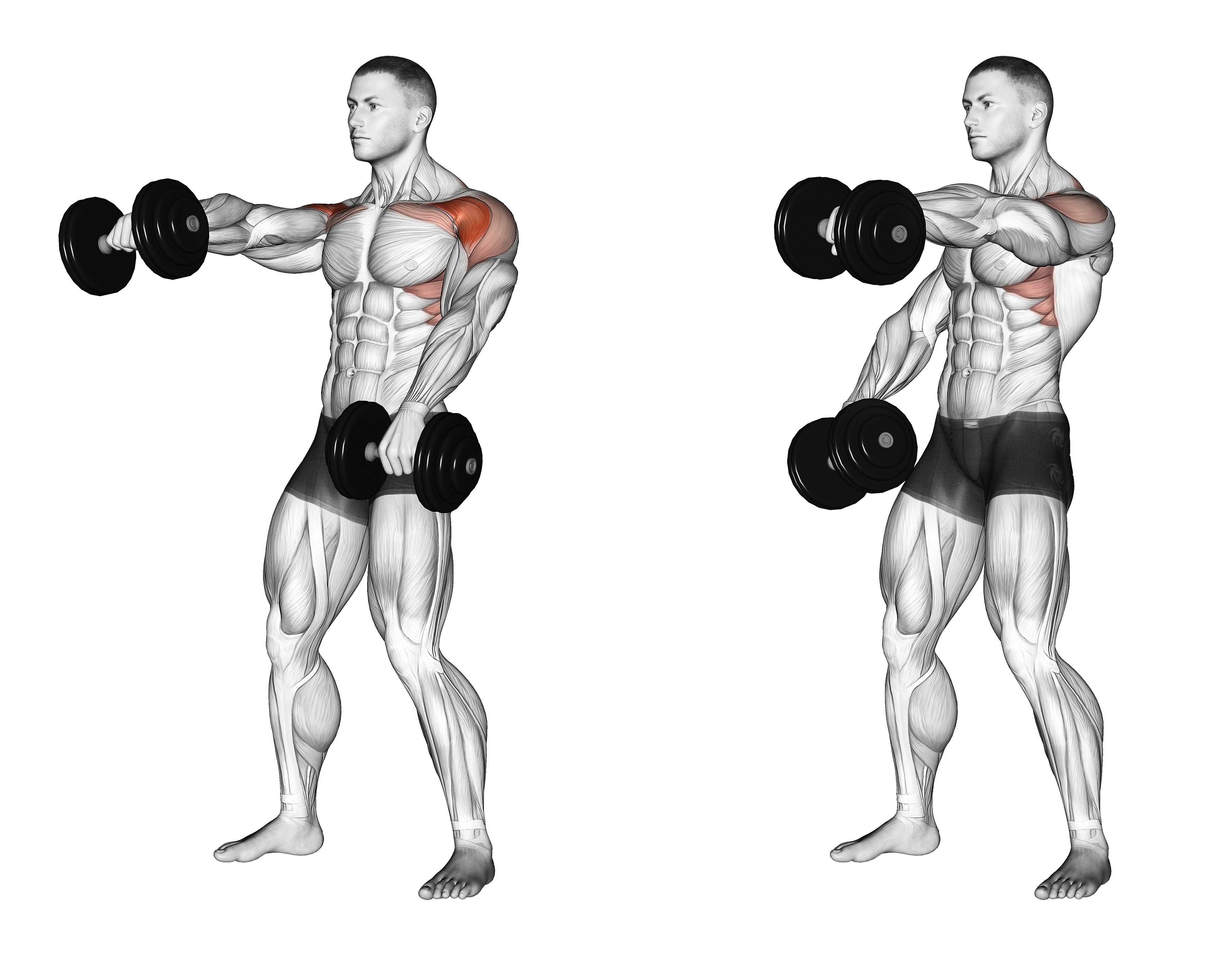 Dumbbell Standing Alternate Raise