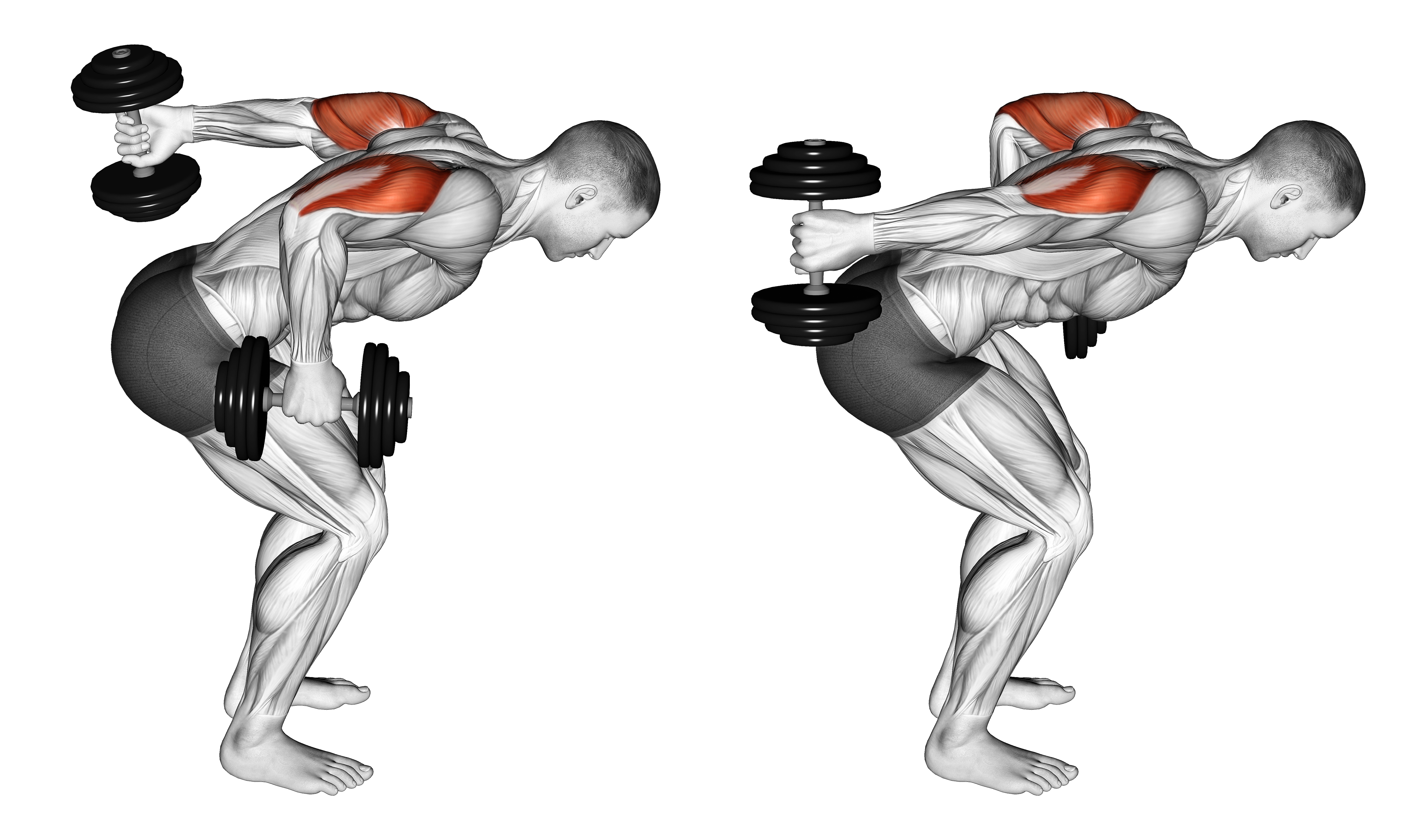Dumbbell Standing Alternating Tricep Kickback