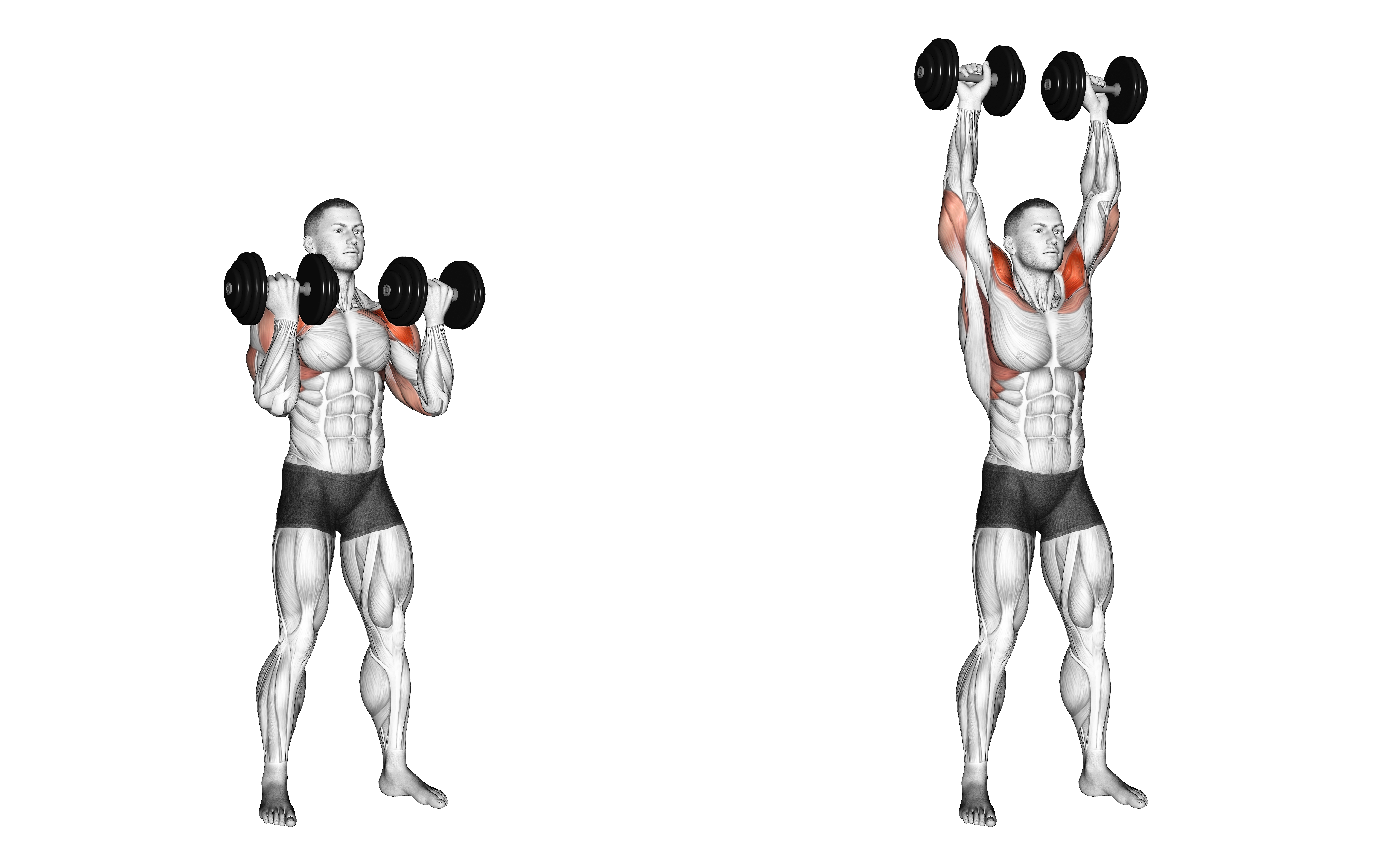 Dumbbell Standing Arnold Press