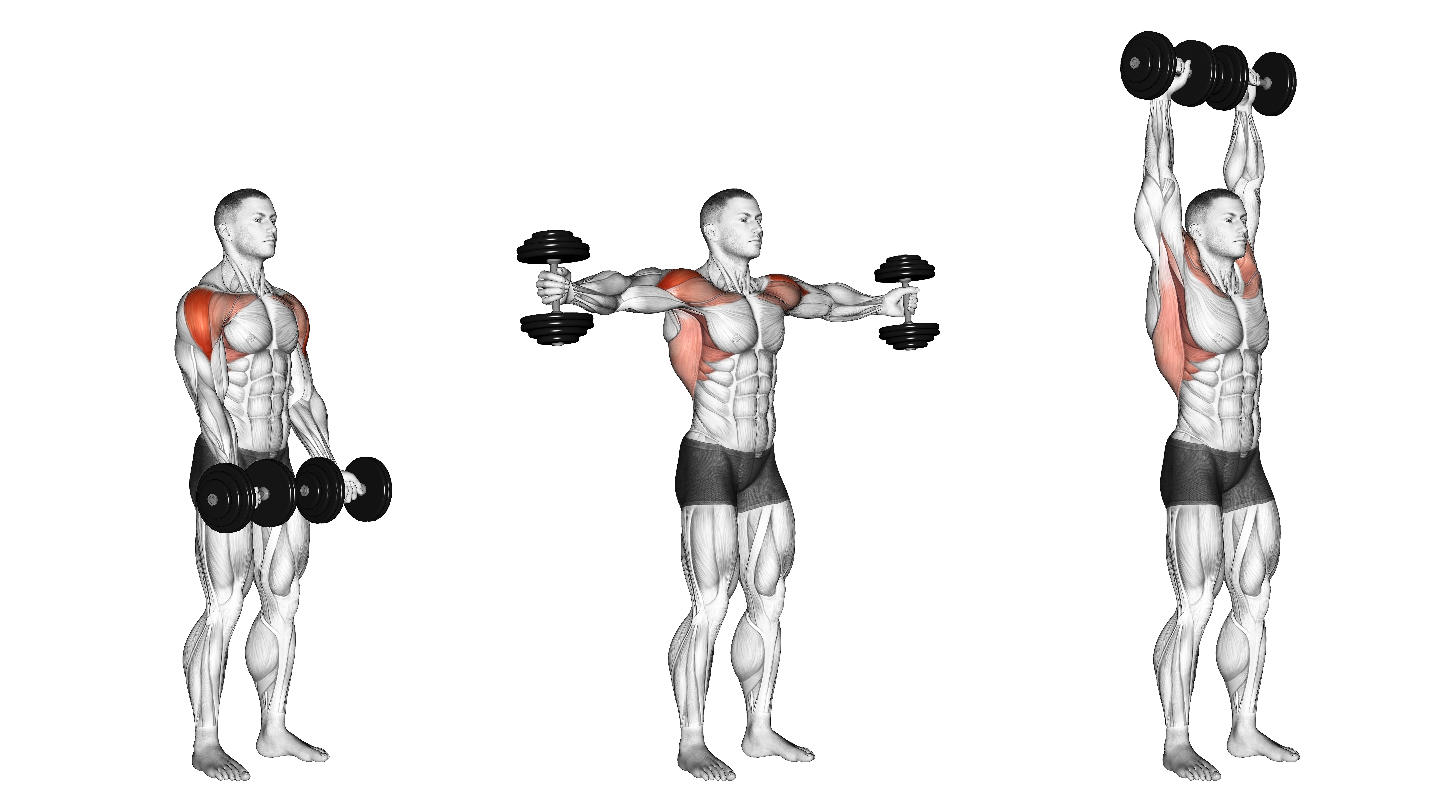 Dumbbell Standing Around World