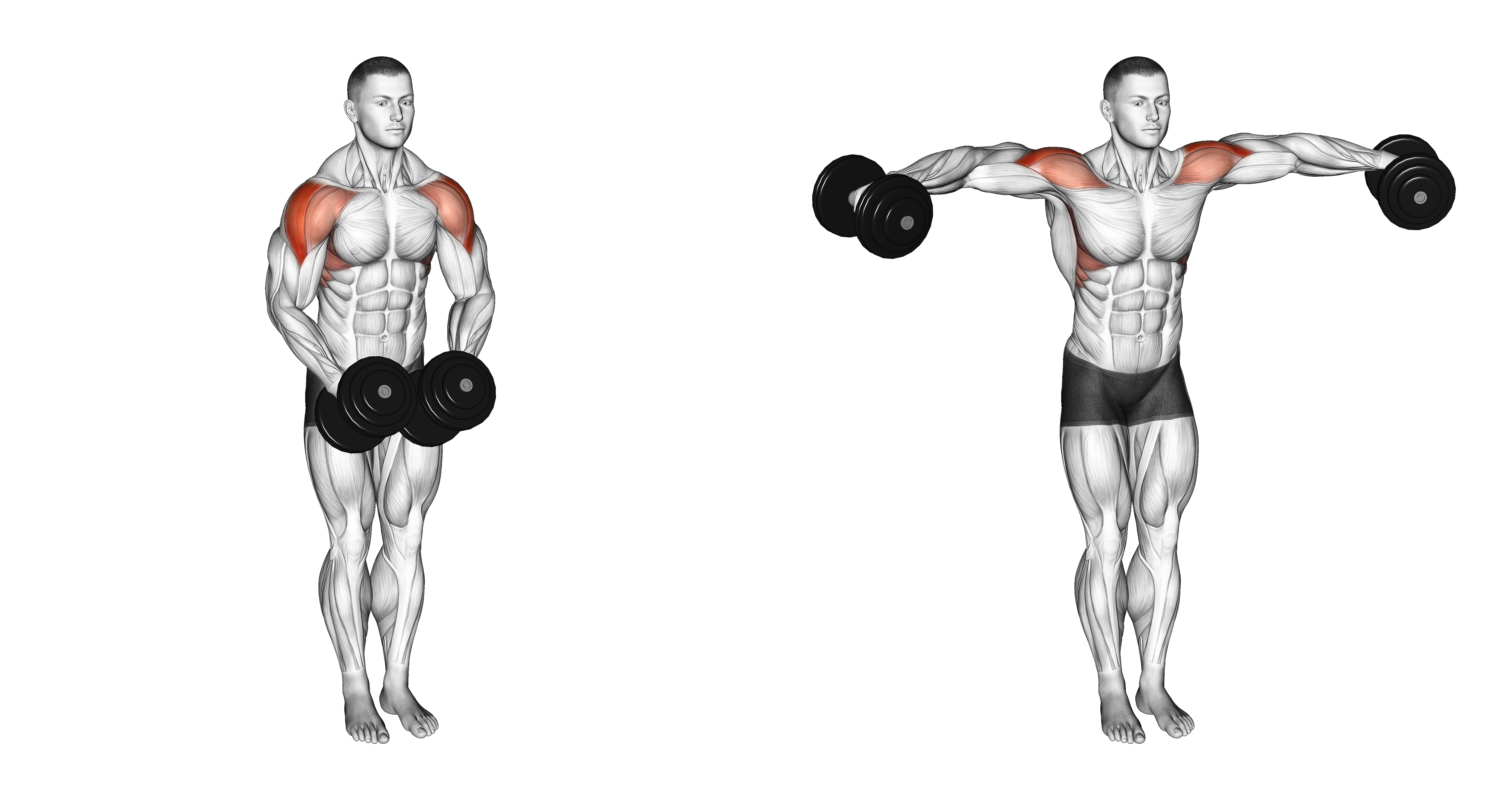 Dumbbell Standing Bent Arm Lateral Raise