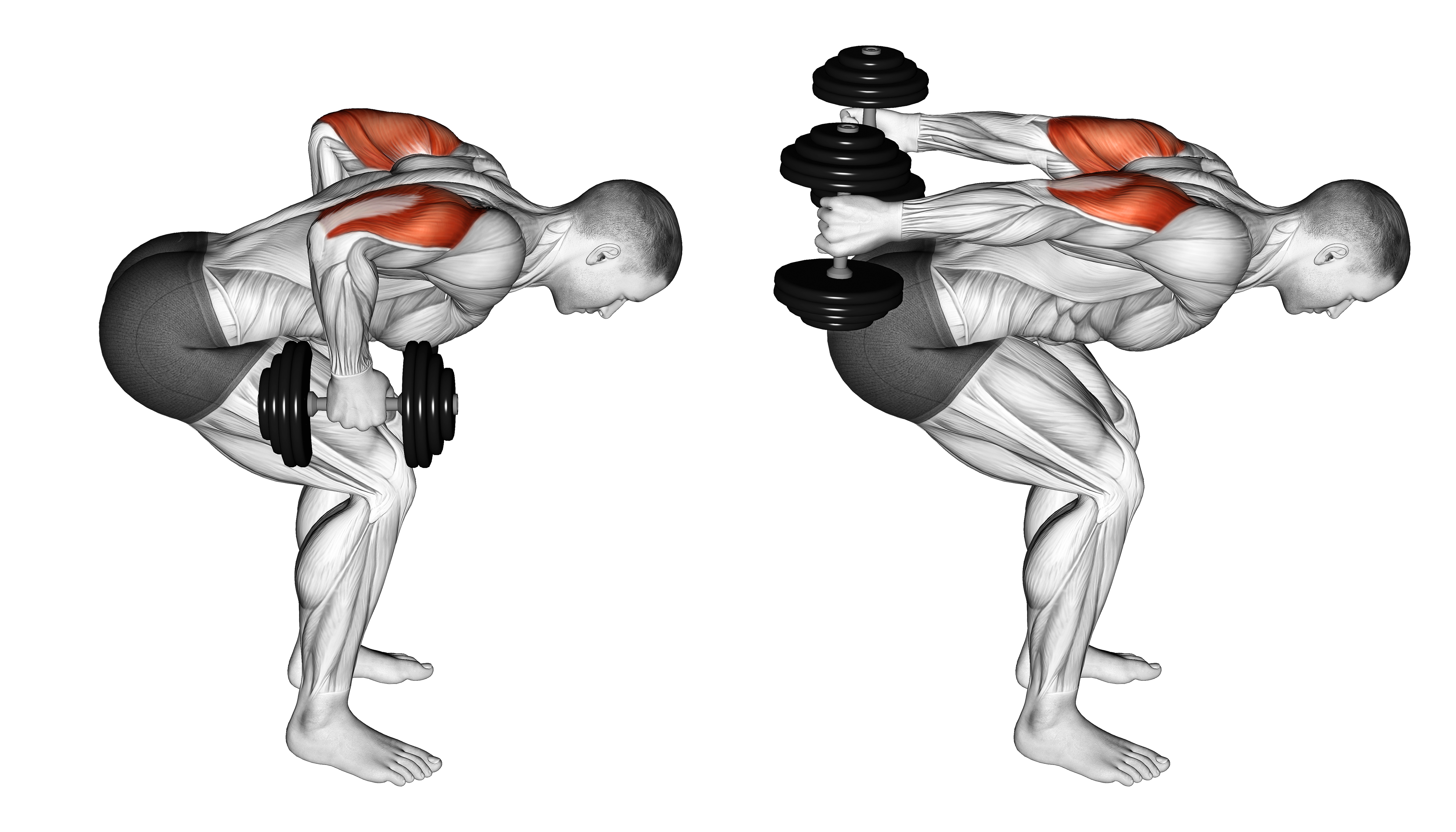 Dumbbell Standing Bent Over Two Arm Triceps Extension