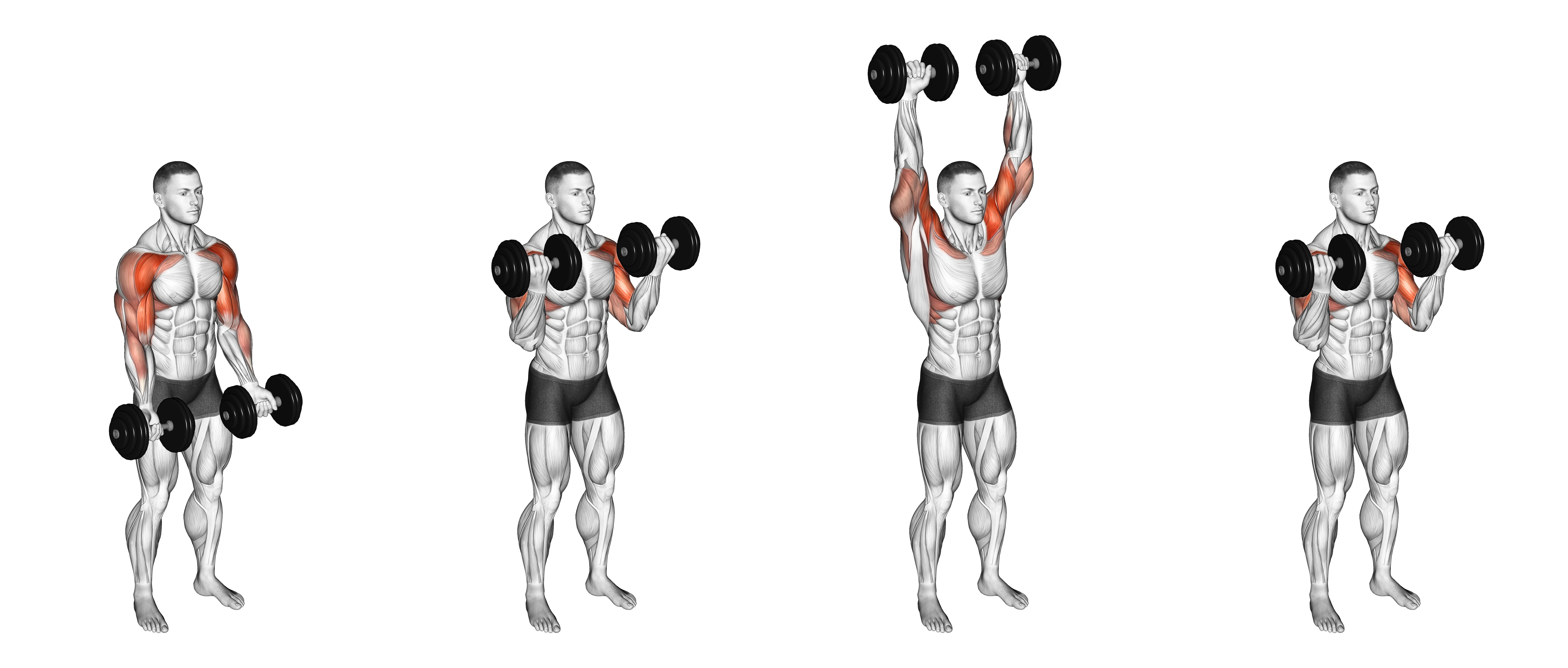 Dumbbell Standing Biceps Curl To Shoulder Press