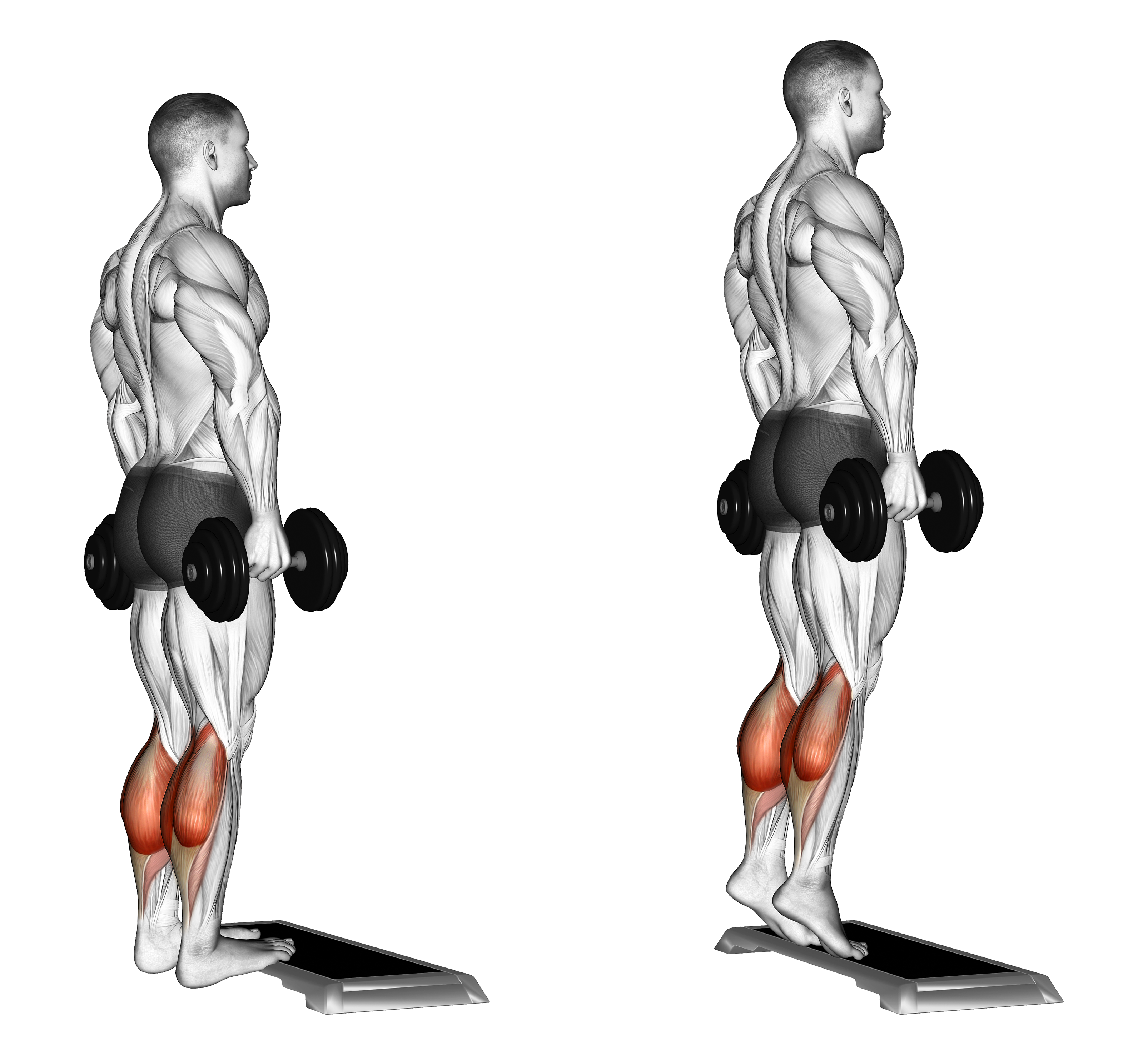 Dumbbell Standing Calf Raise