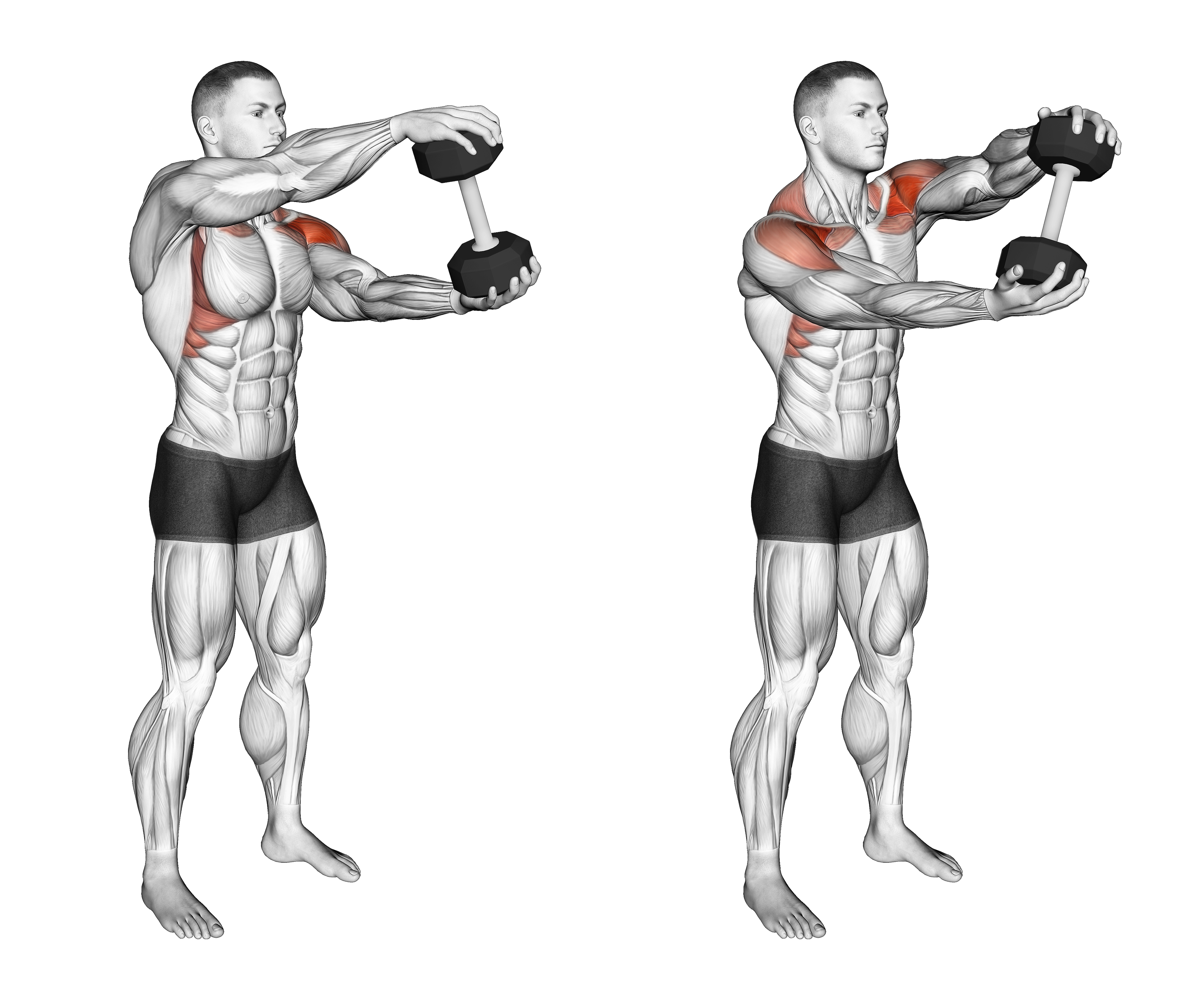 Dumbbell Standing Driver