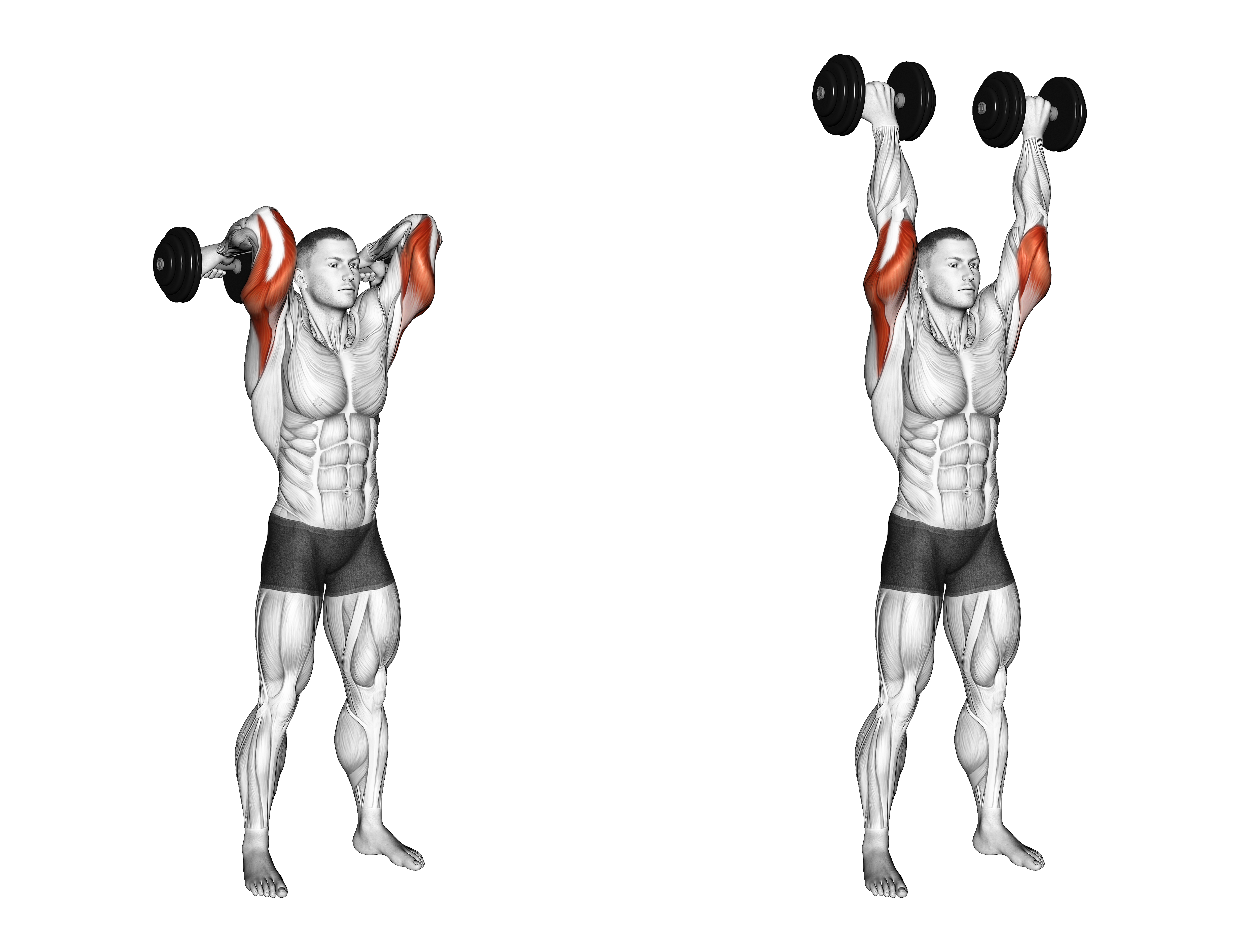 Dumbbell Standing French Press