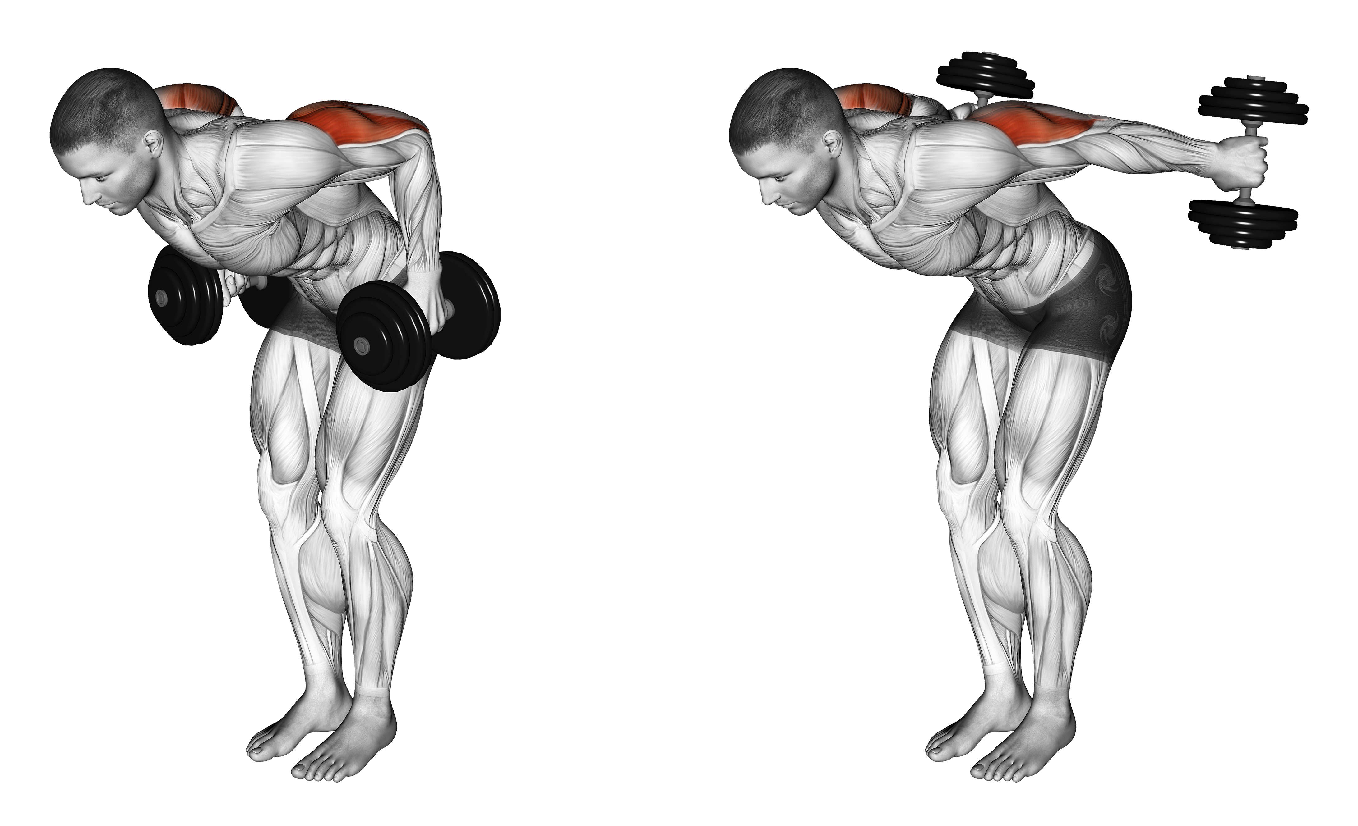 Dumbbell Standing Kickback