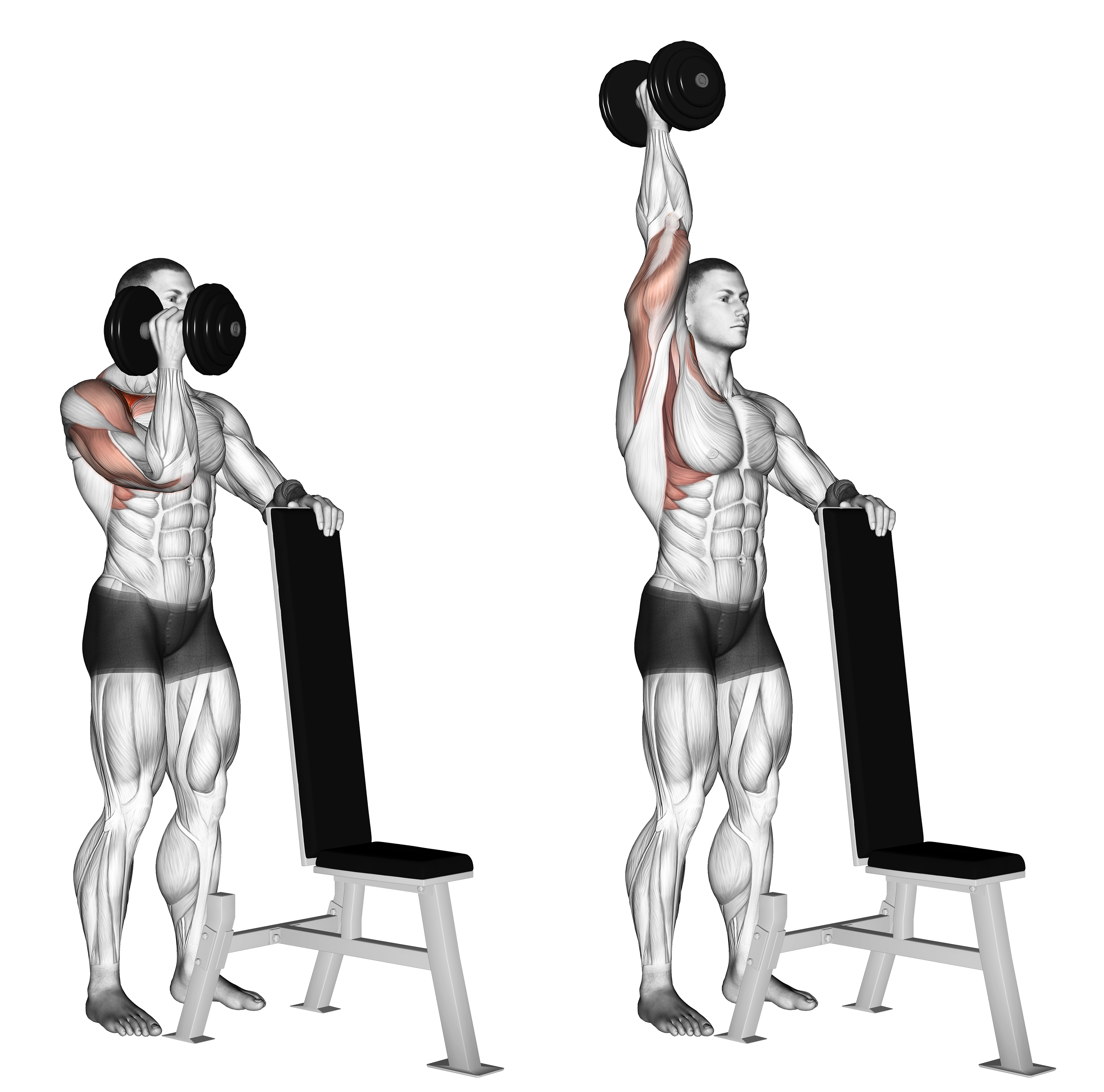 Dumbbell Standing One Arm Palm In Press