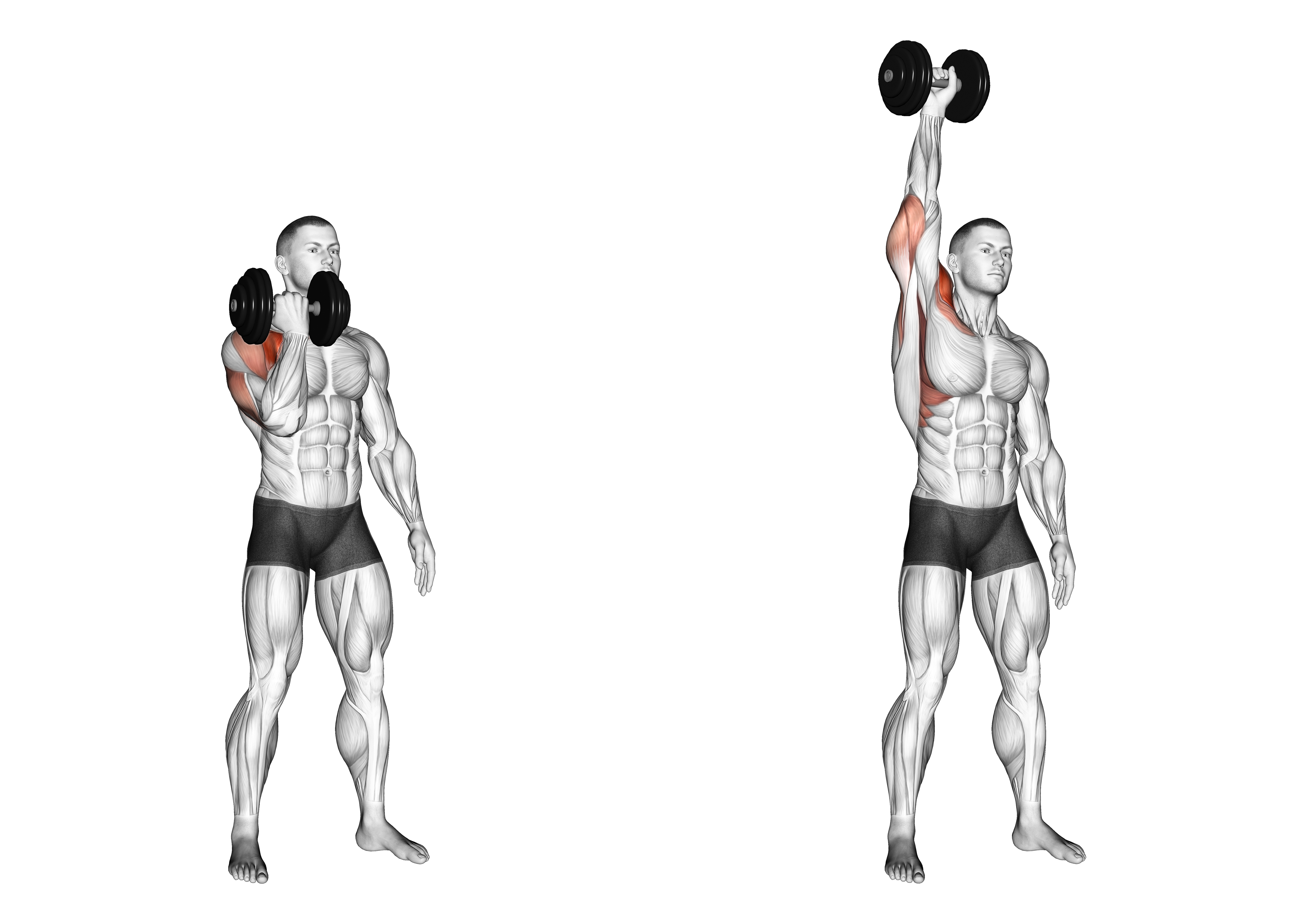 Dumbbell Standing Single Arm Arnold Press
