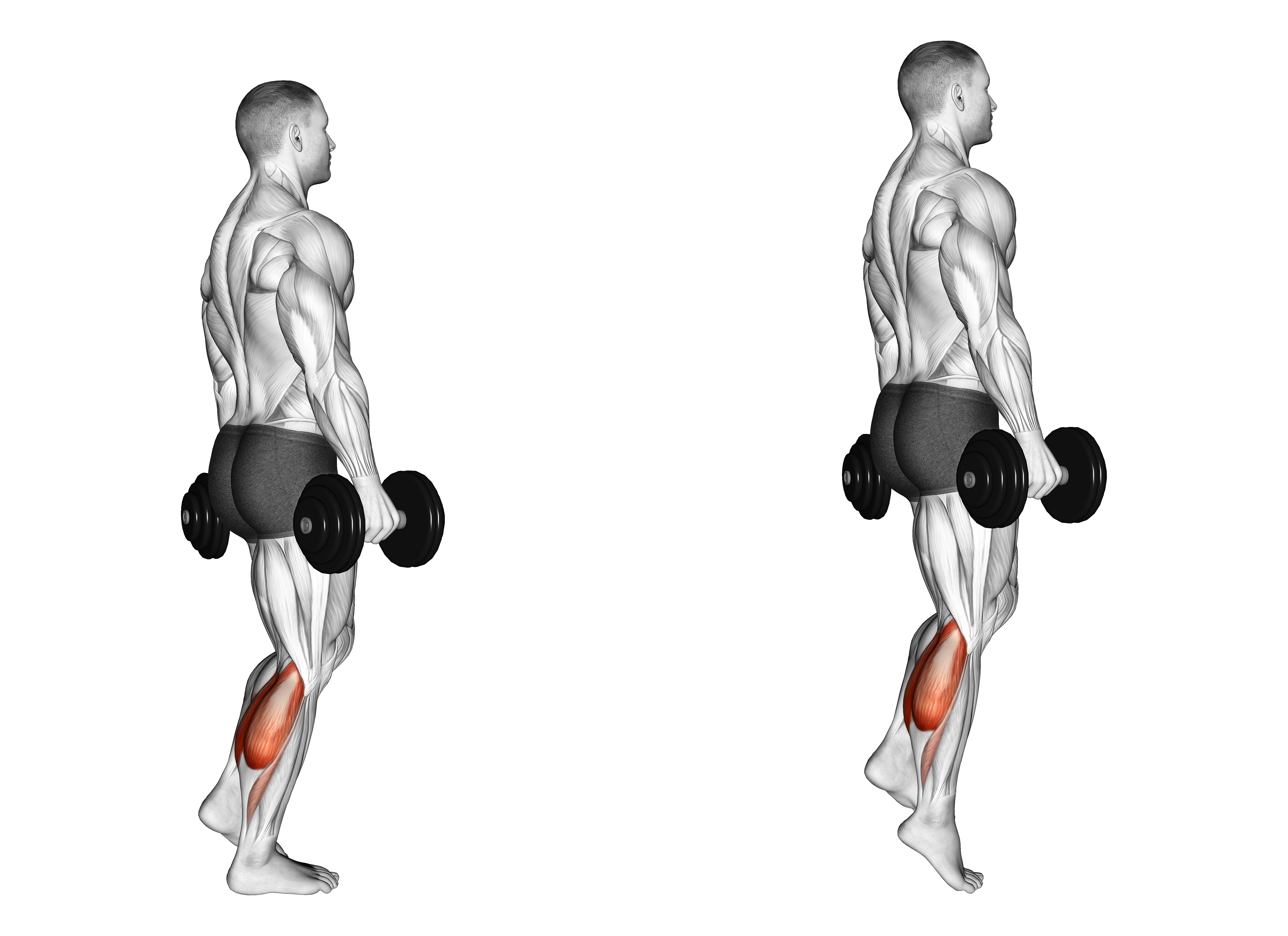 Dumbbell Standing Single Leg Calf Raise