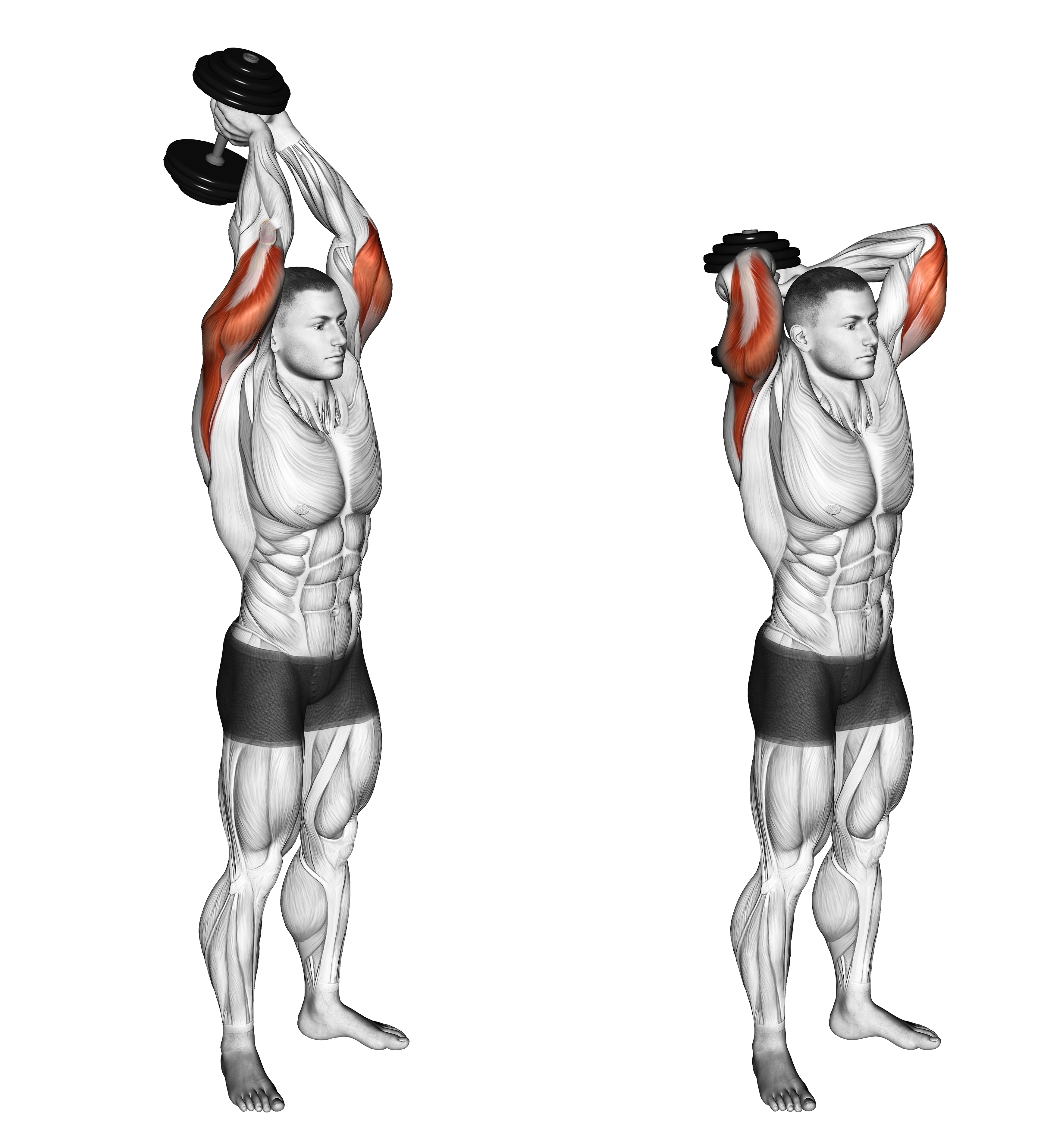 Dumbbell Standing Triceps Extension