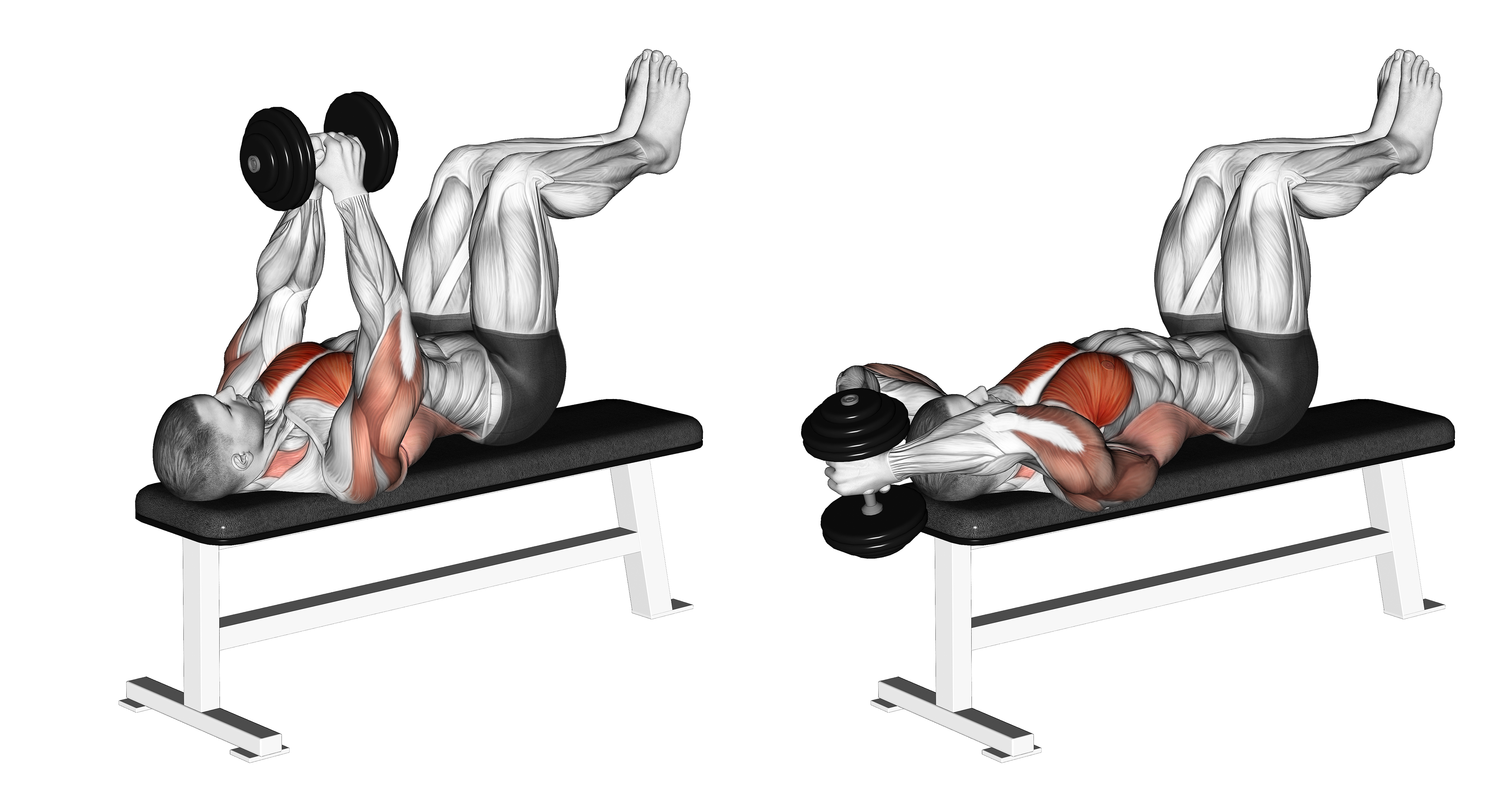 Dumbbell Straight Arm Pullover Knees At 90 Degrees 