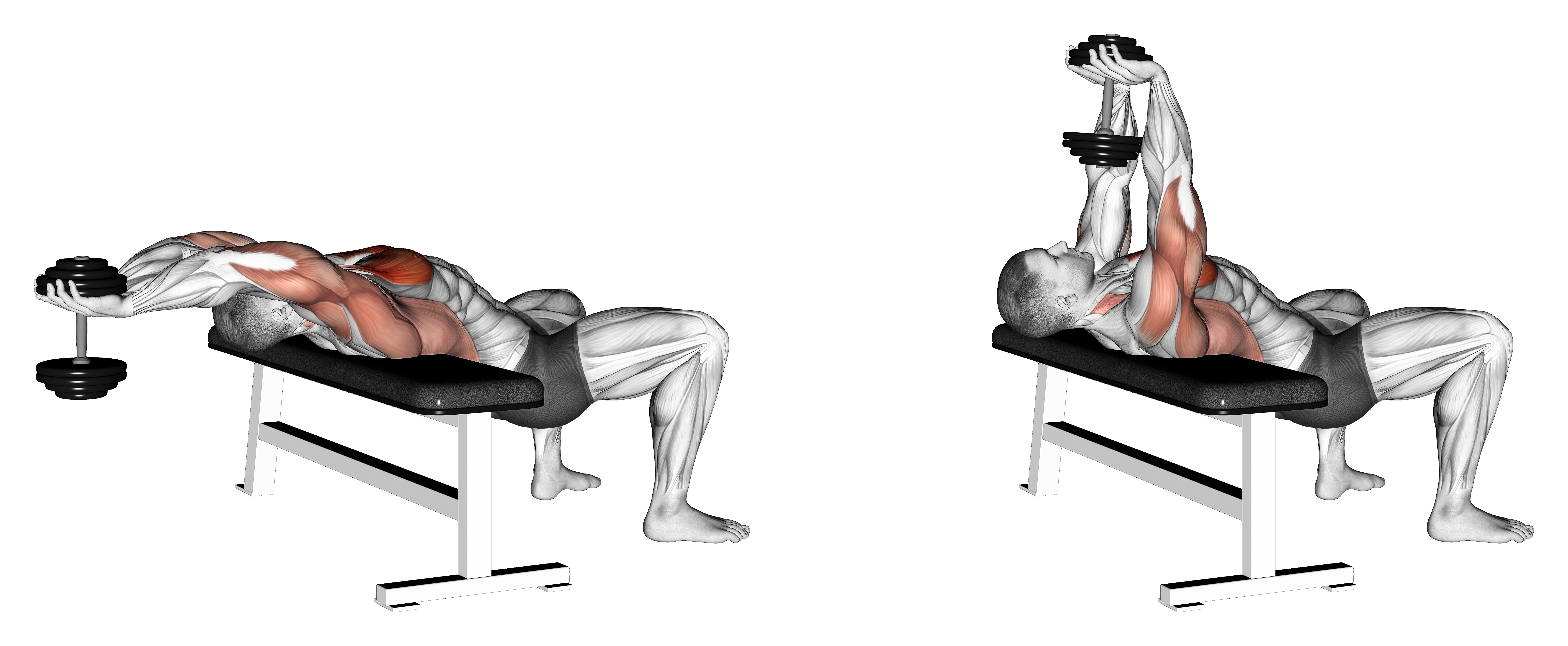 Dumbbell Straight Arm Pullover