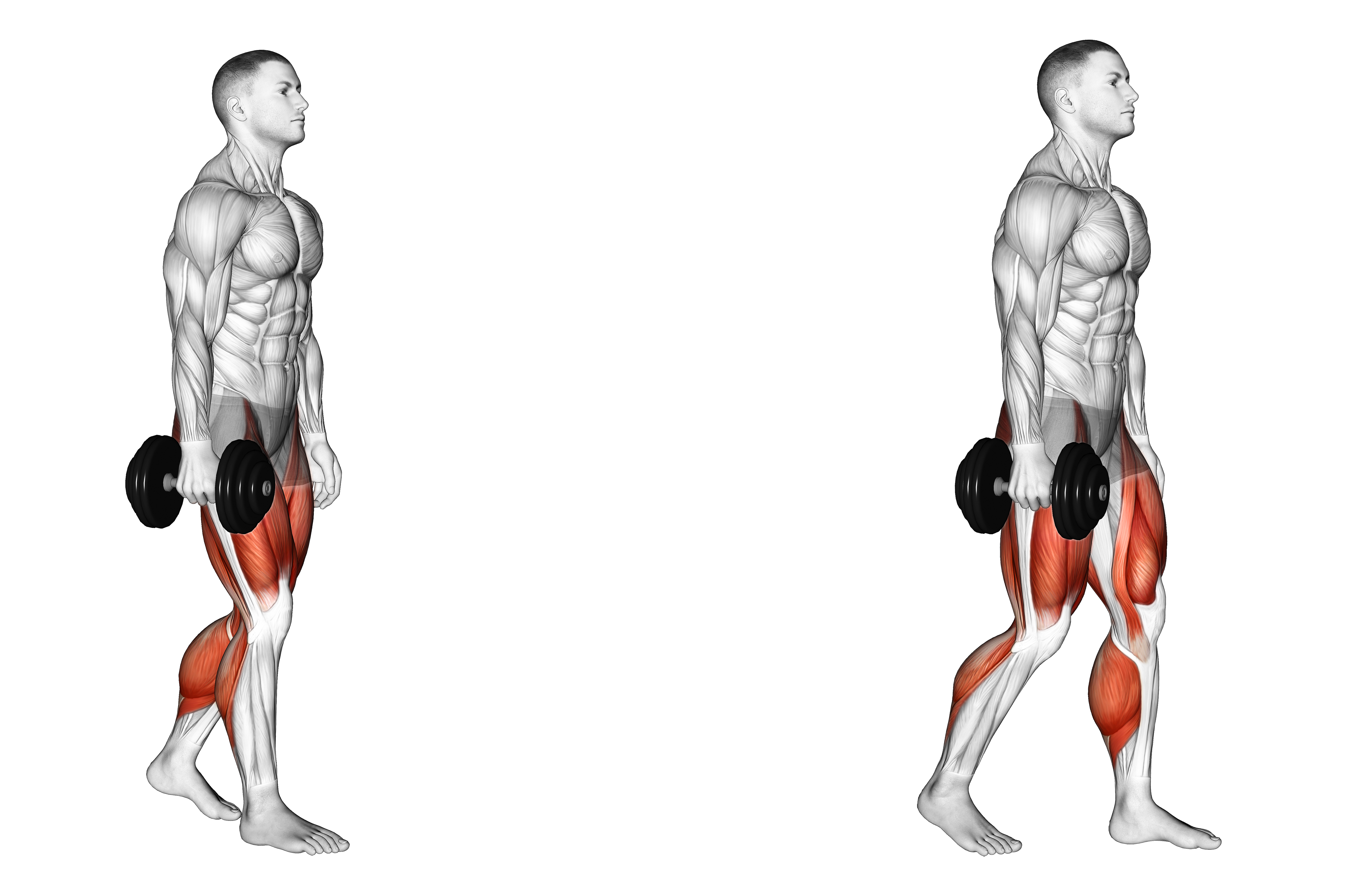 Dumbbell Suitcase Carry