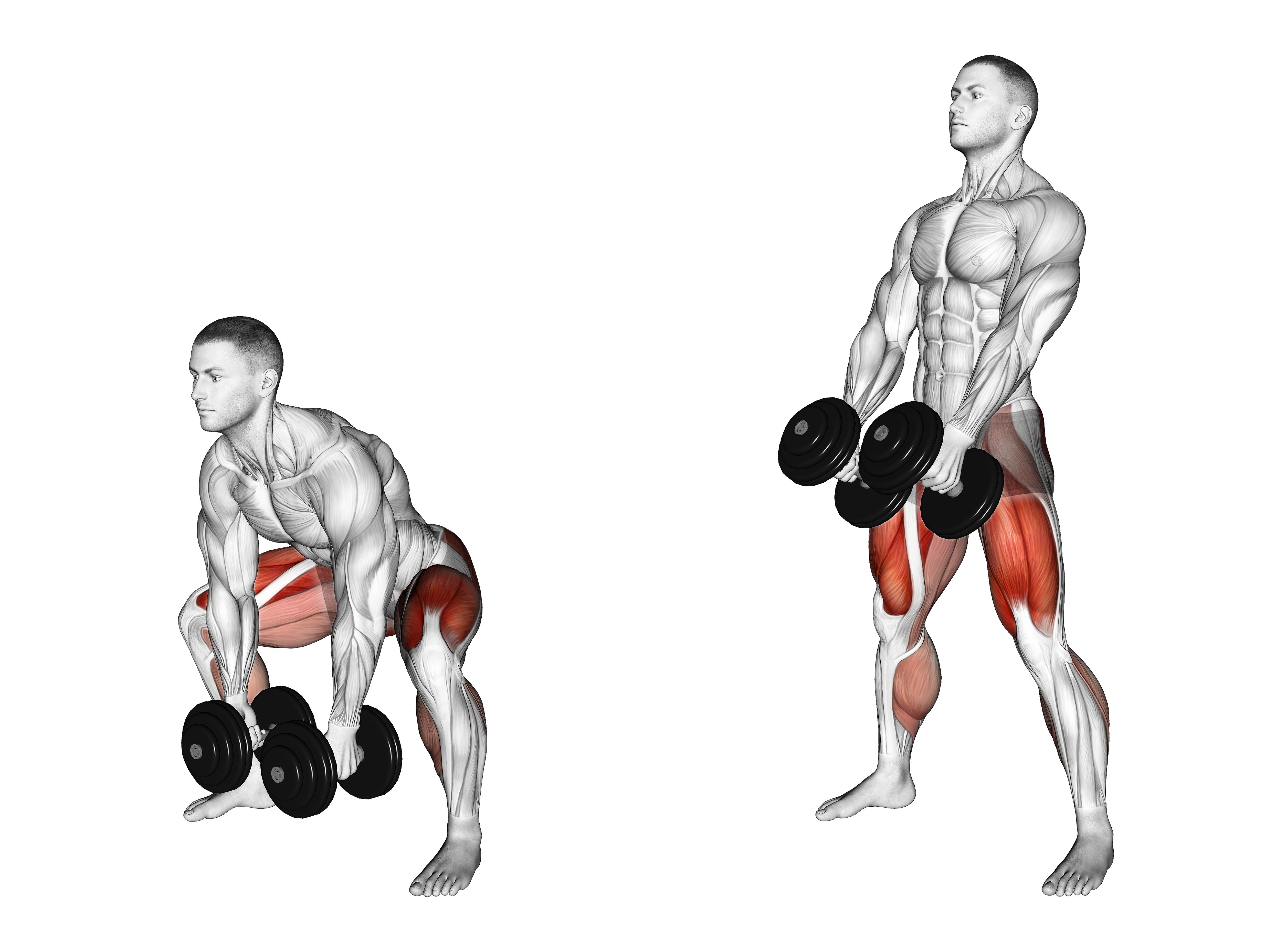 Dumbbell Sumo Deadlift