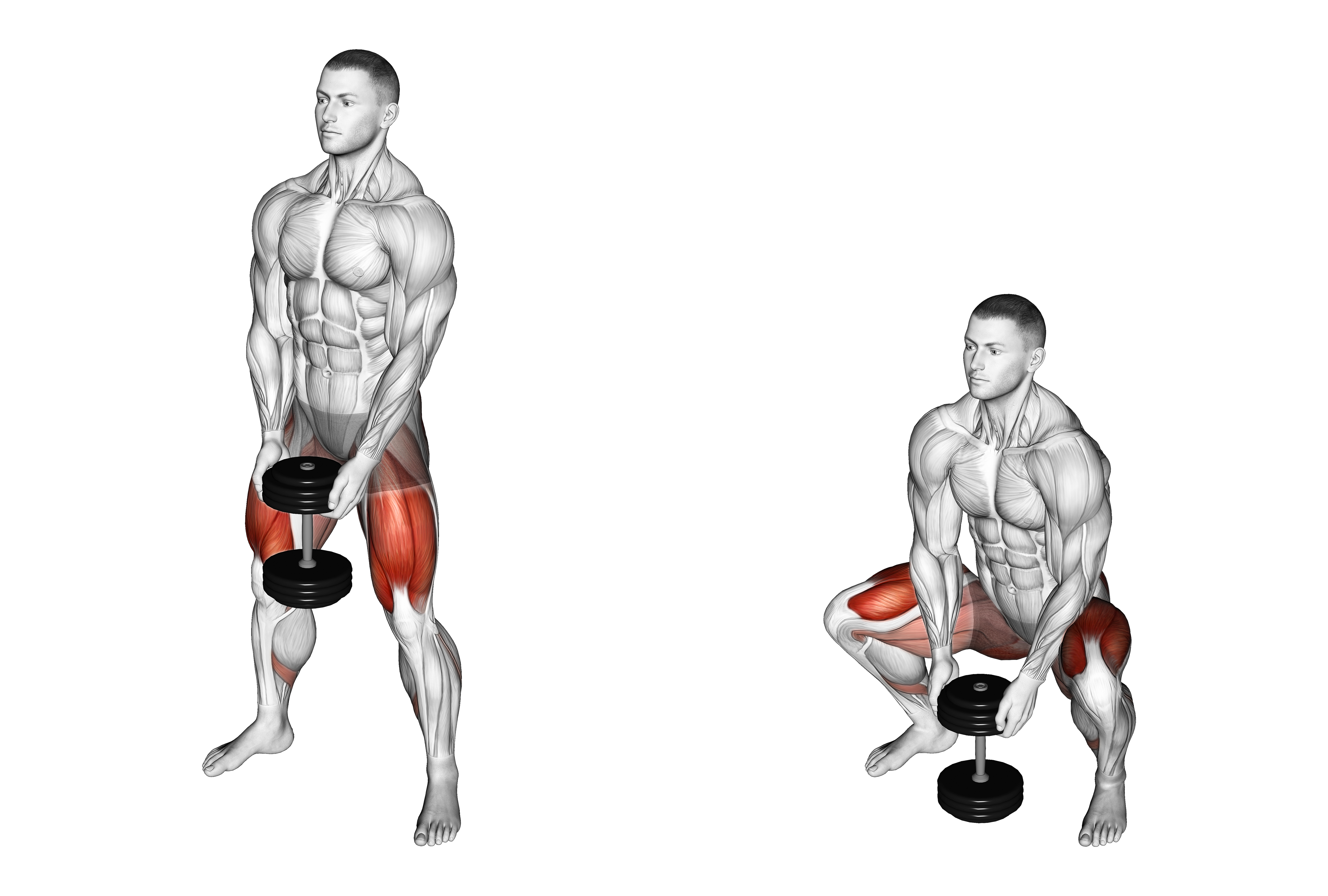 Dumbbell Sumo Squat
