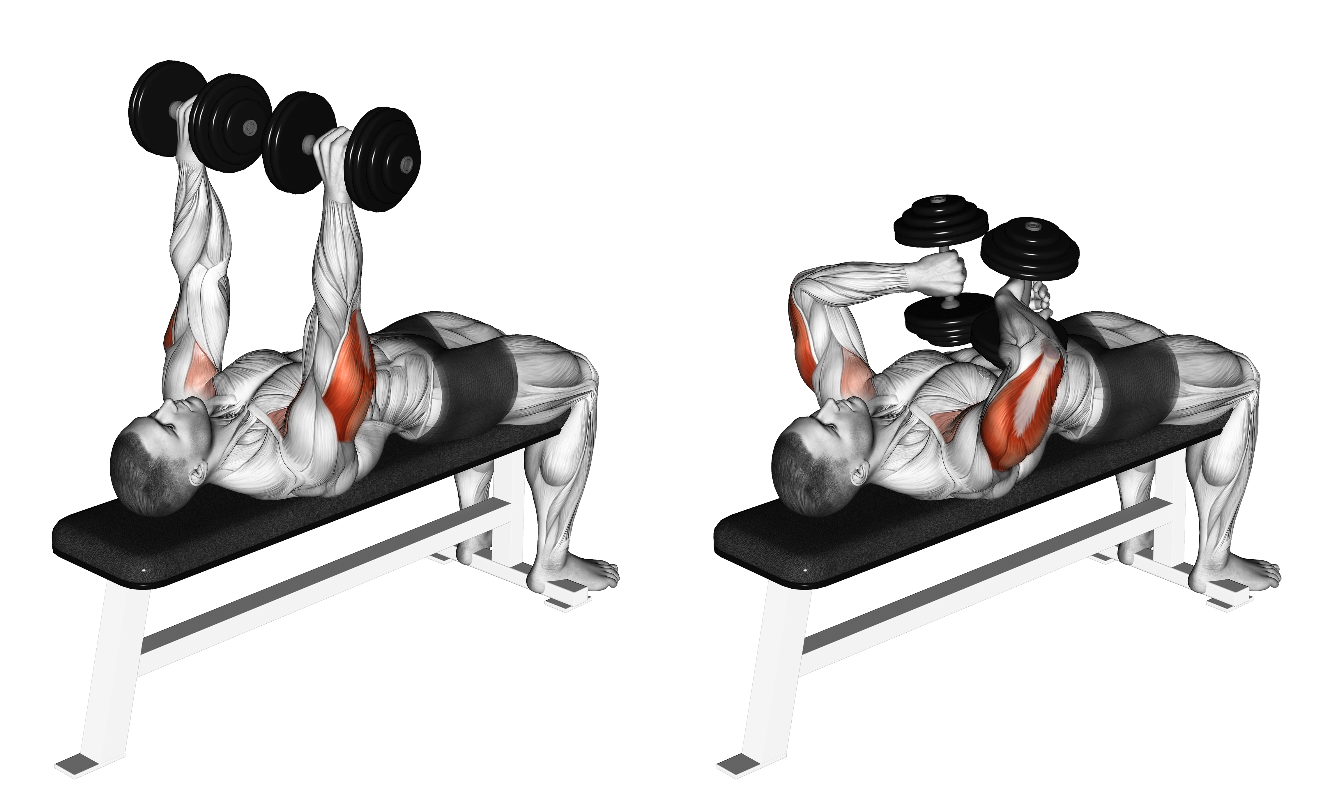 Dumbbell Tate Press