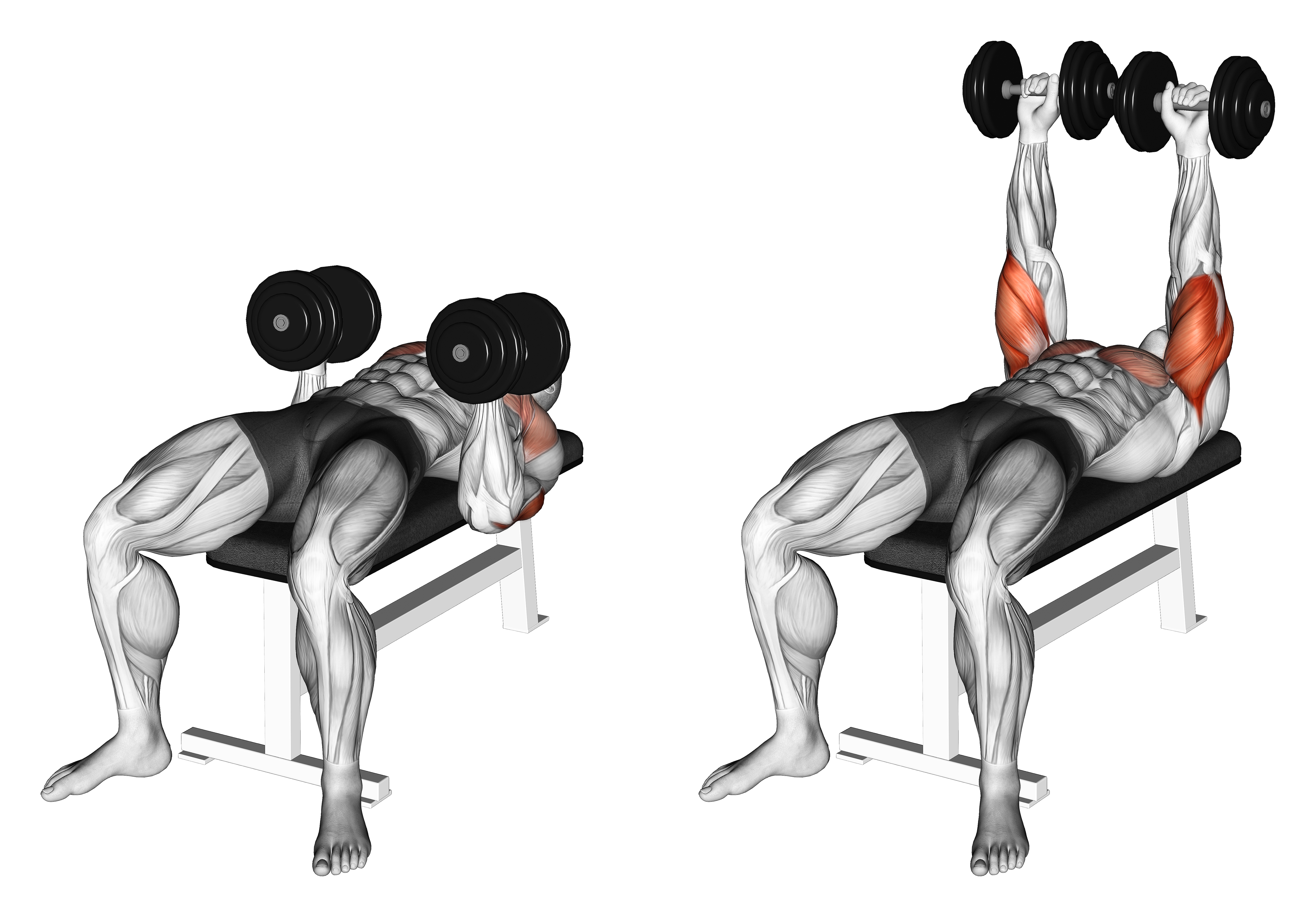Dumbbell Twisting Bench Press