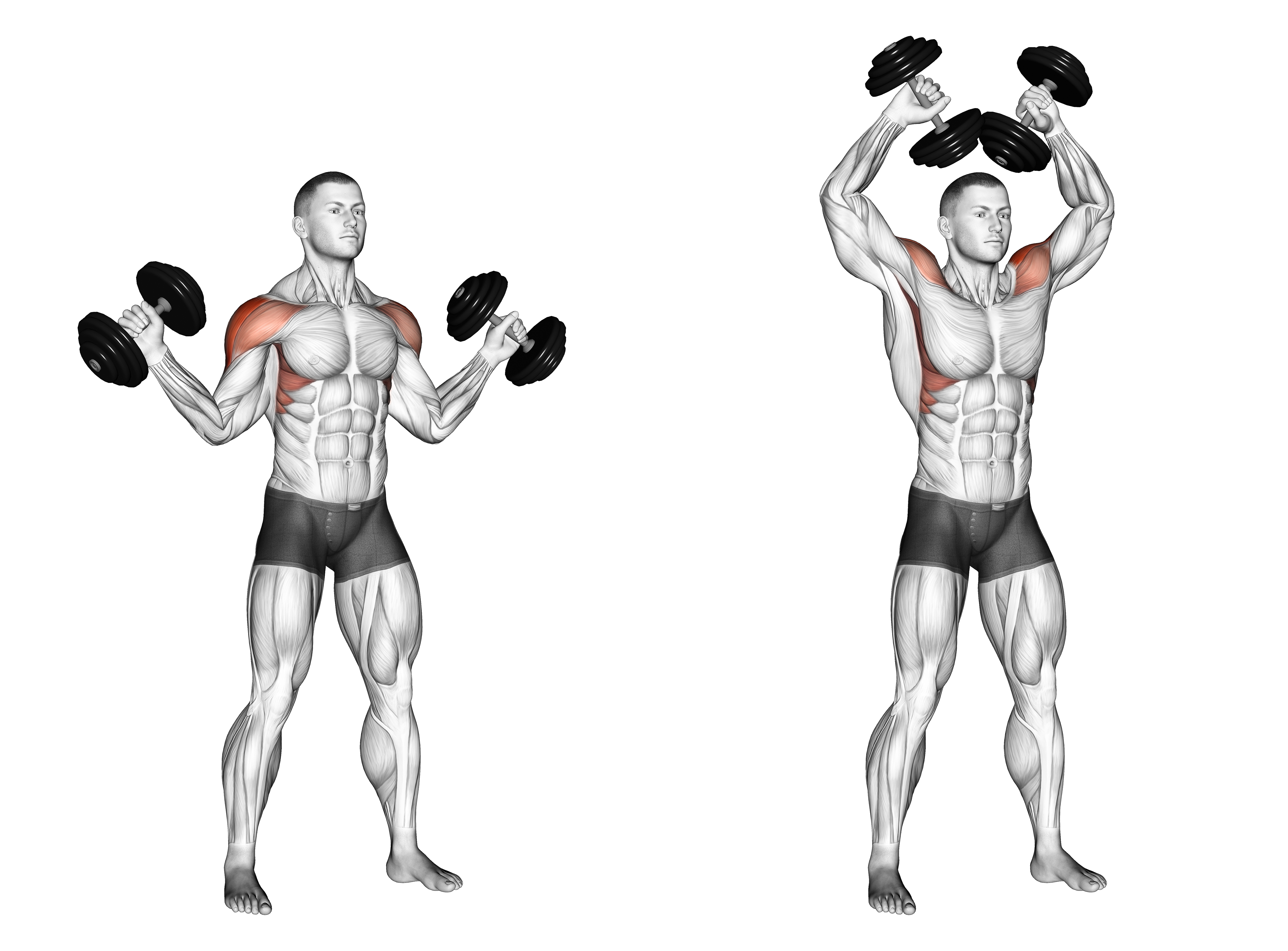 Dumbbell W Press