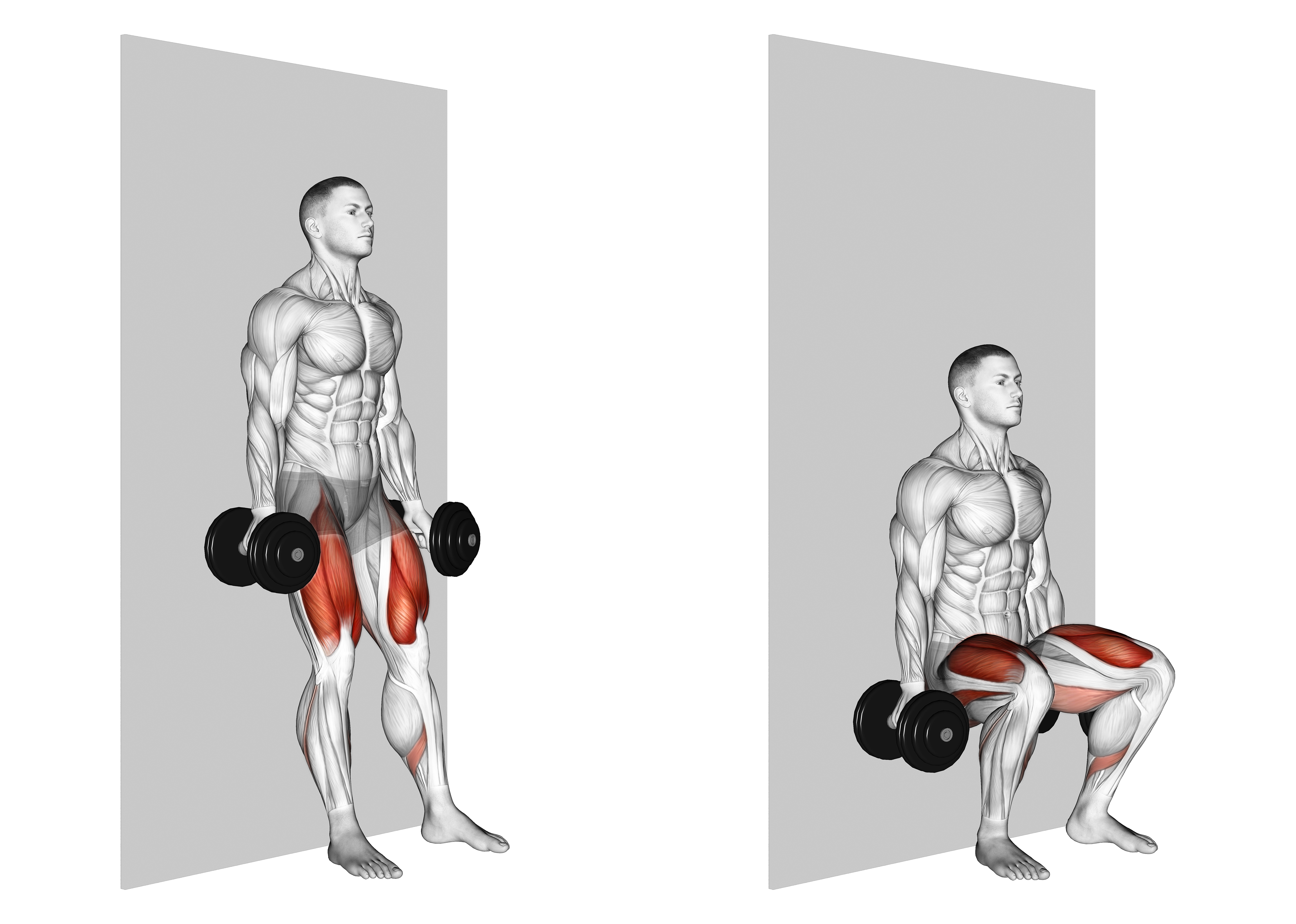 Dumbbell Wall Squat