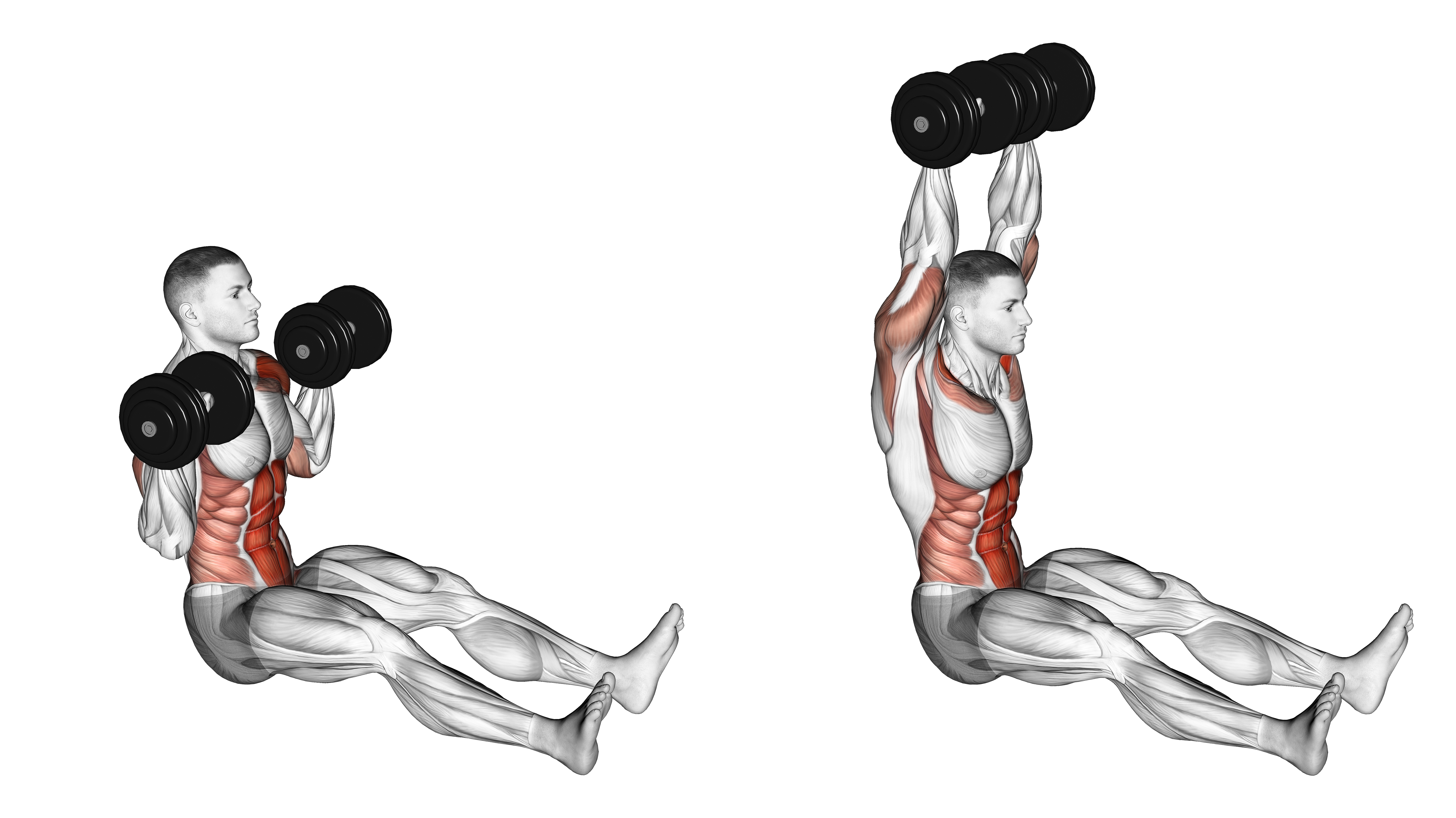 Dumbbell Z Press
