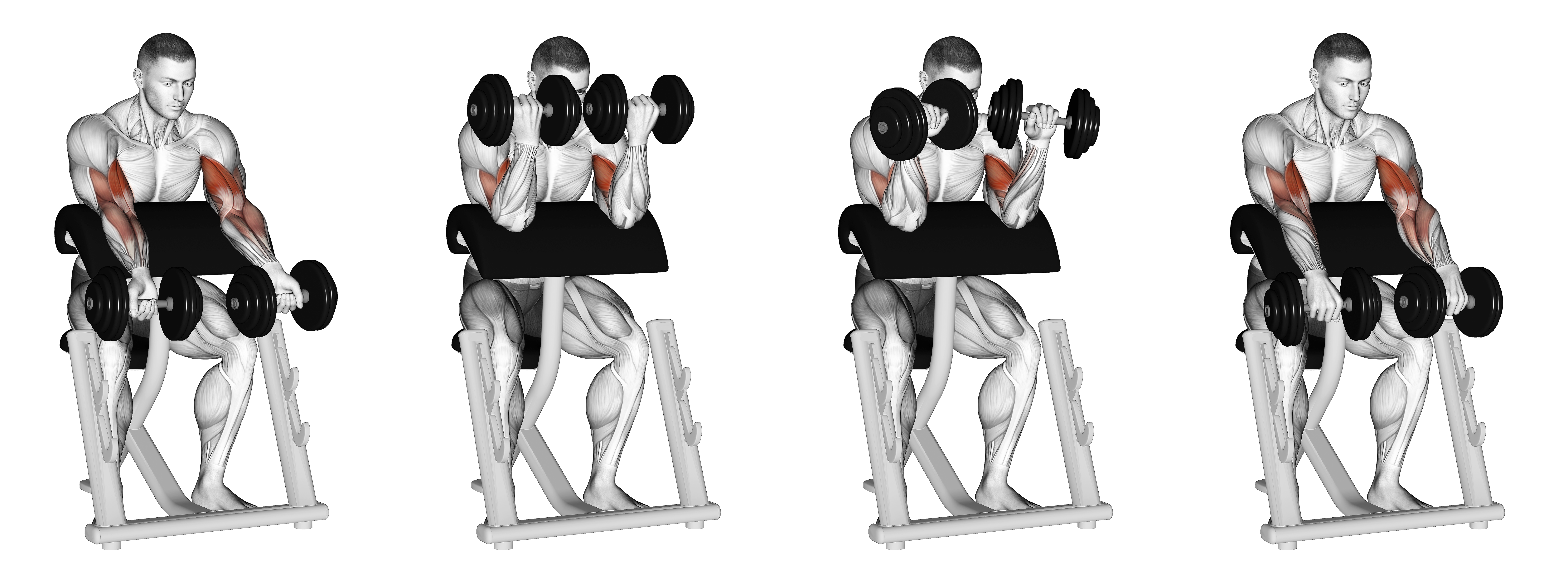 Dumbbell Zottman Preacher Curl