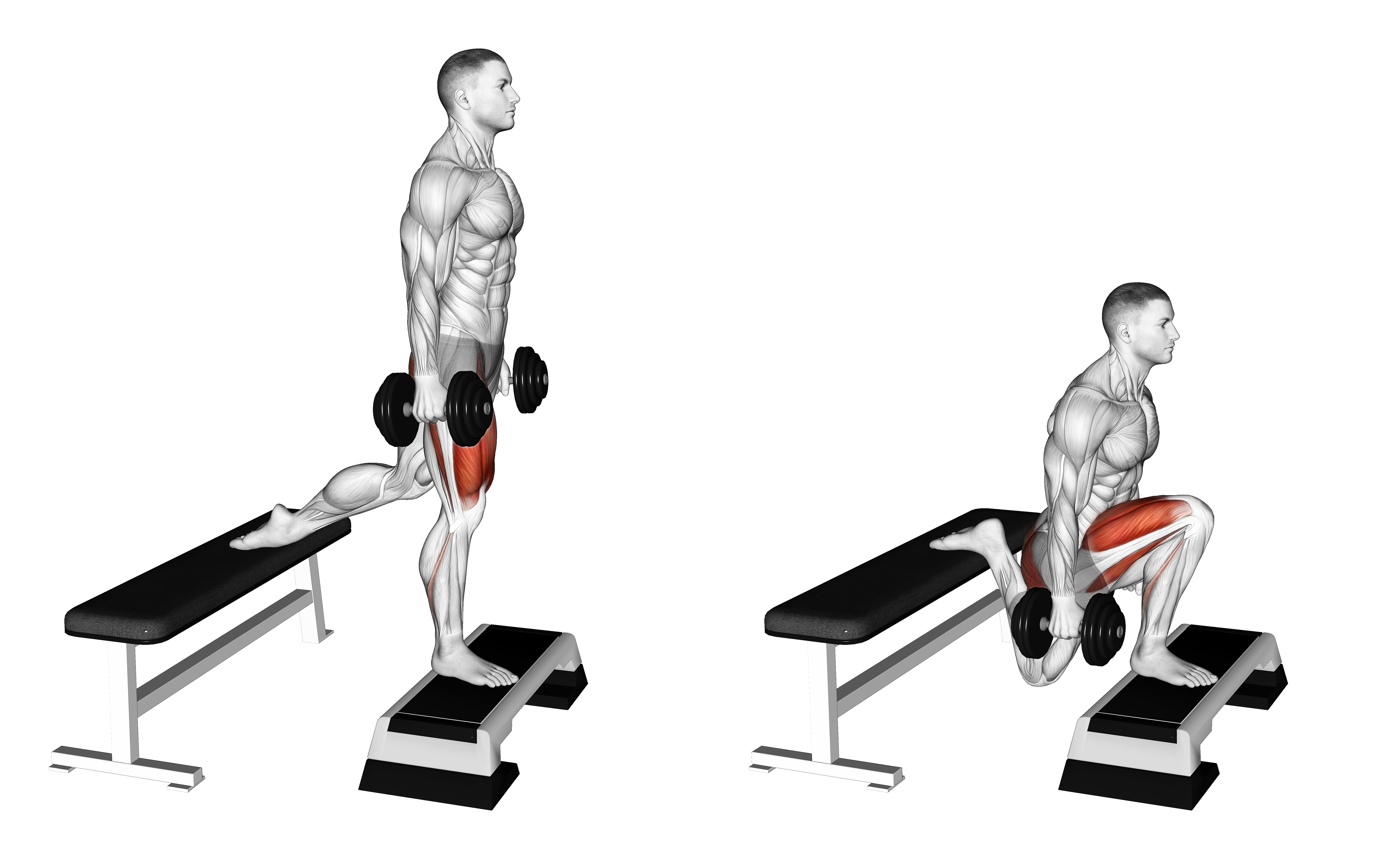 Dumbell Bulgarian Split Squat From Deficit