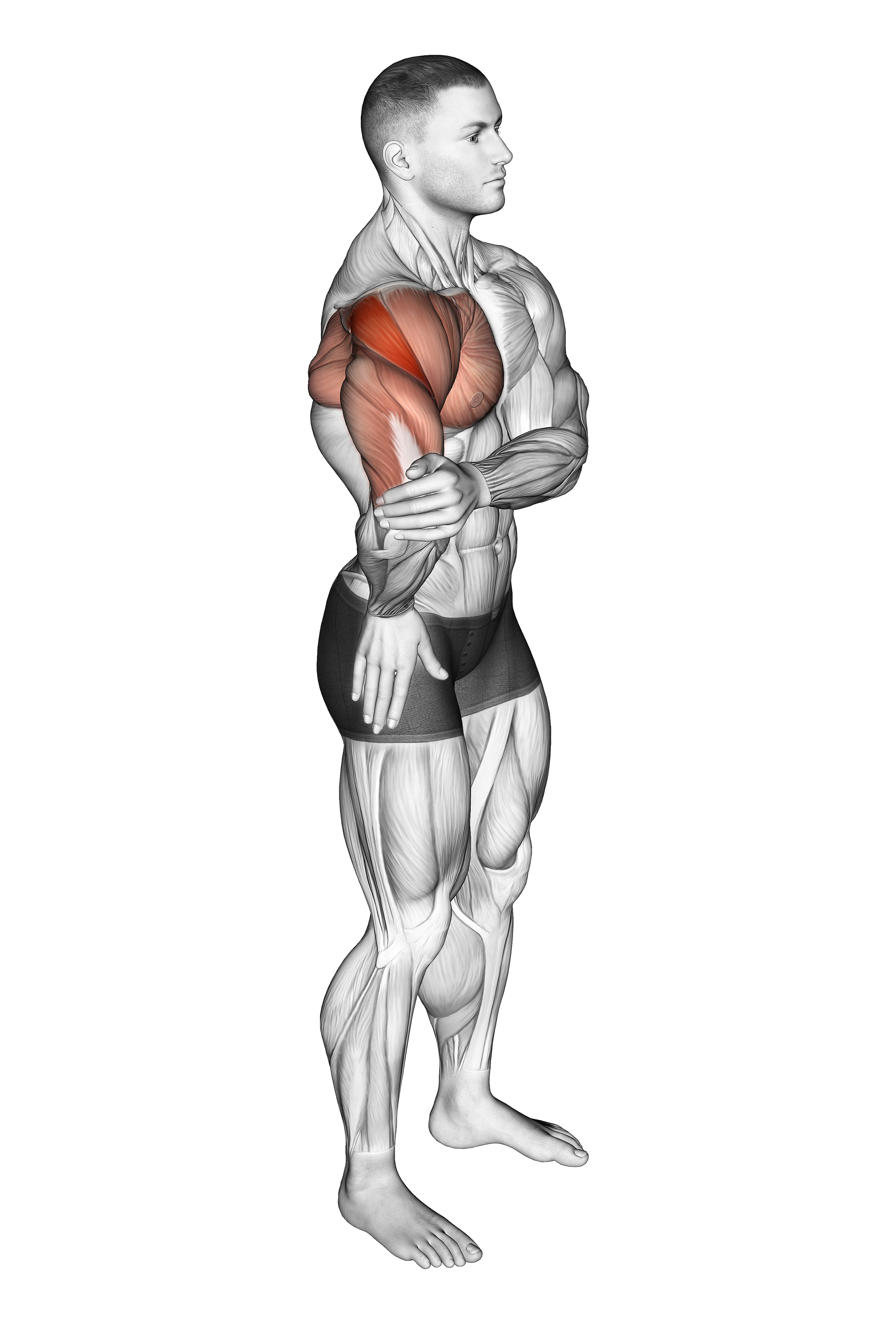 Elbow Out Rotator Stretch