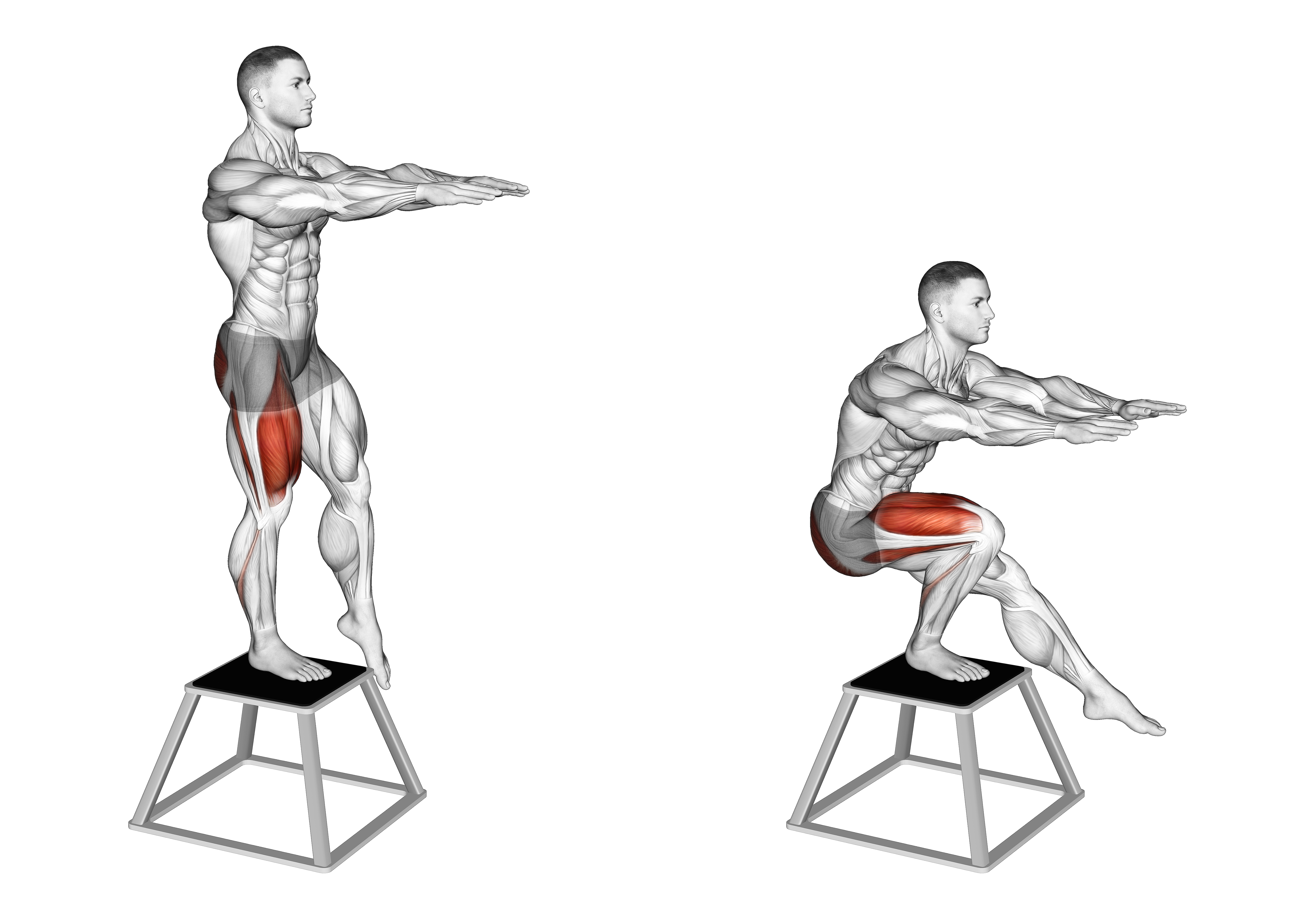Elevated Single Leg Squat