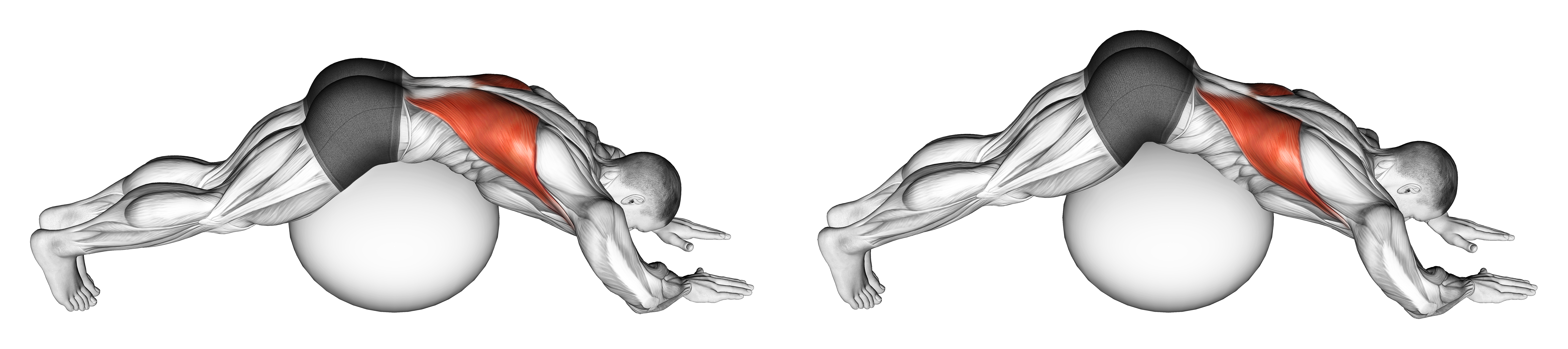 Exercise Ball Lower Back Stretch (pyramid)
