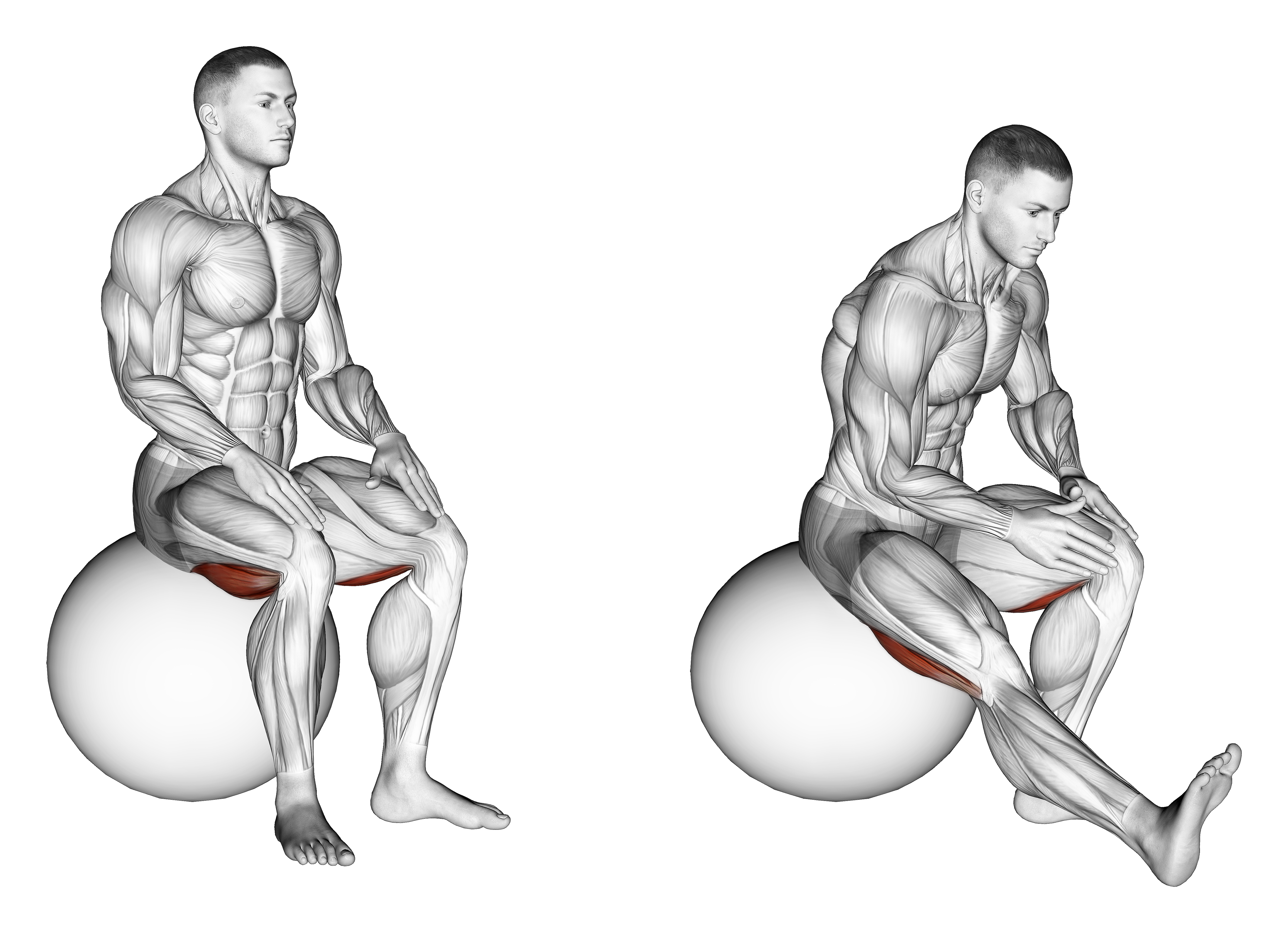 Exercise Ball Seated Hamstring Stretch
