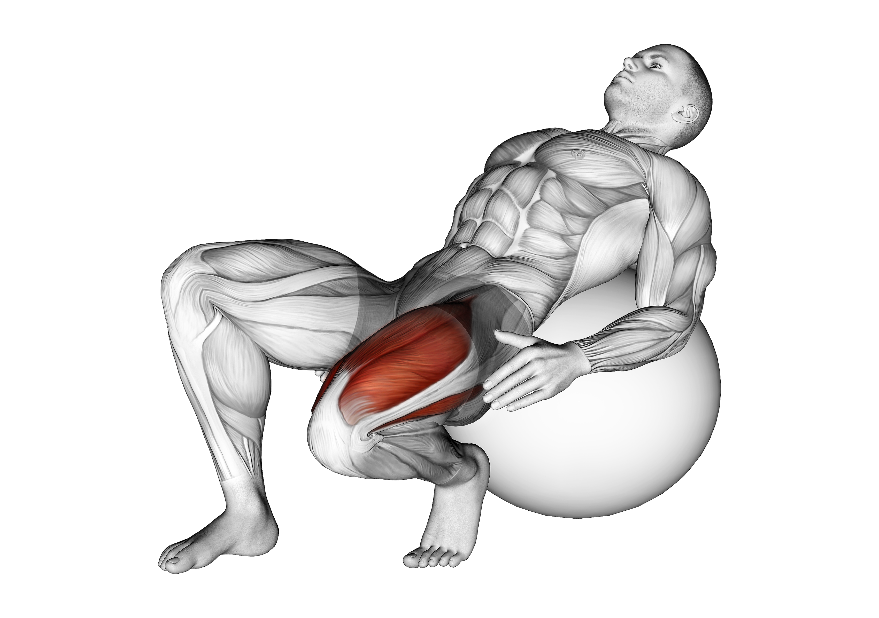 Exercise Ball Seated Quad Stretch