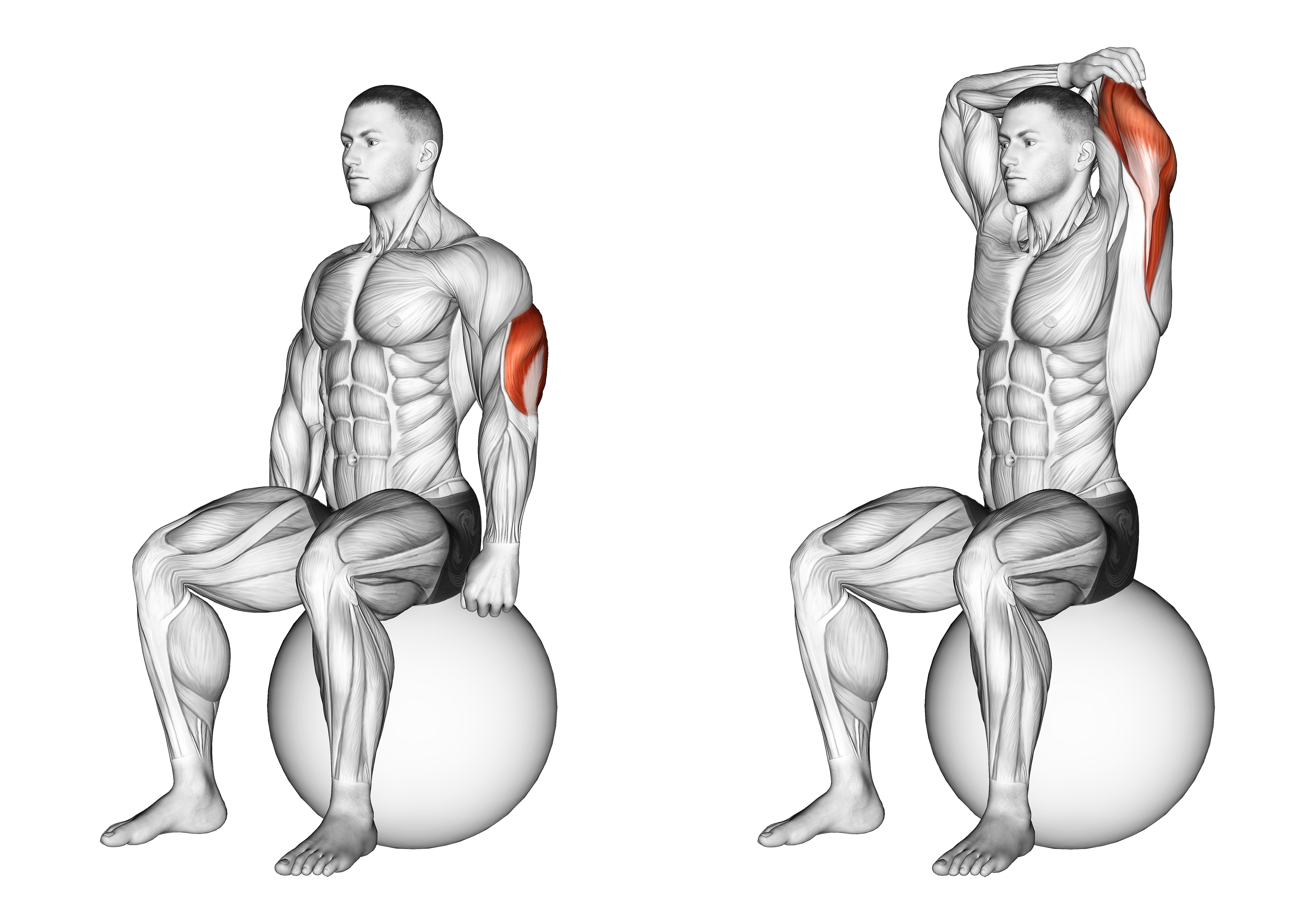 Exercise Ball Seated Triceps Stretch