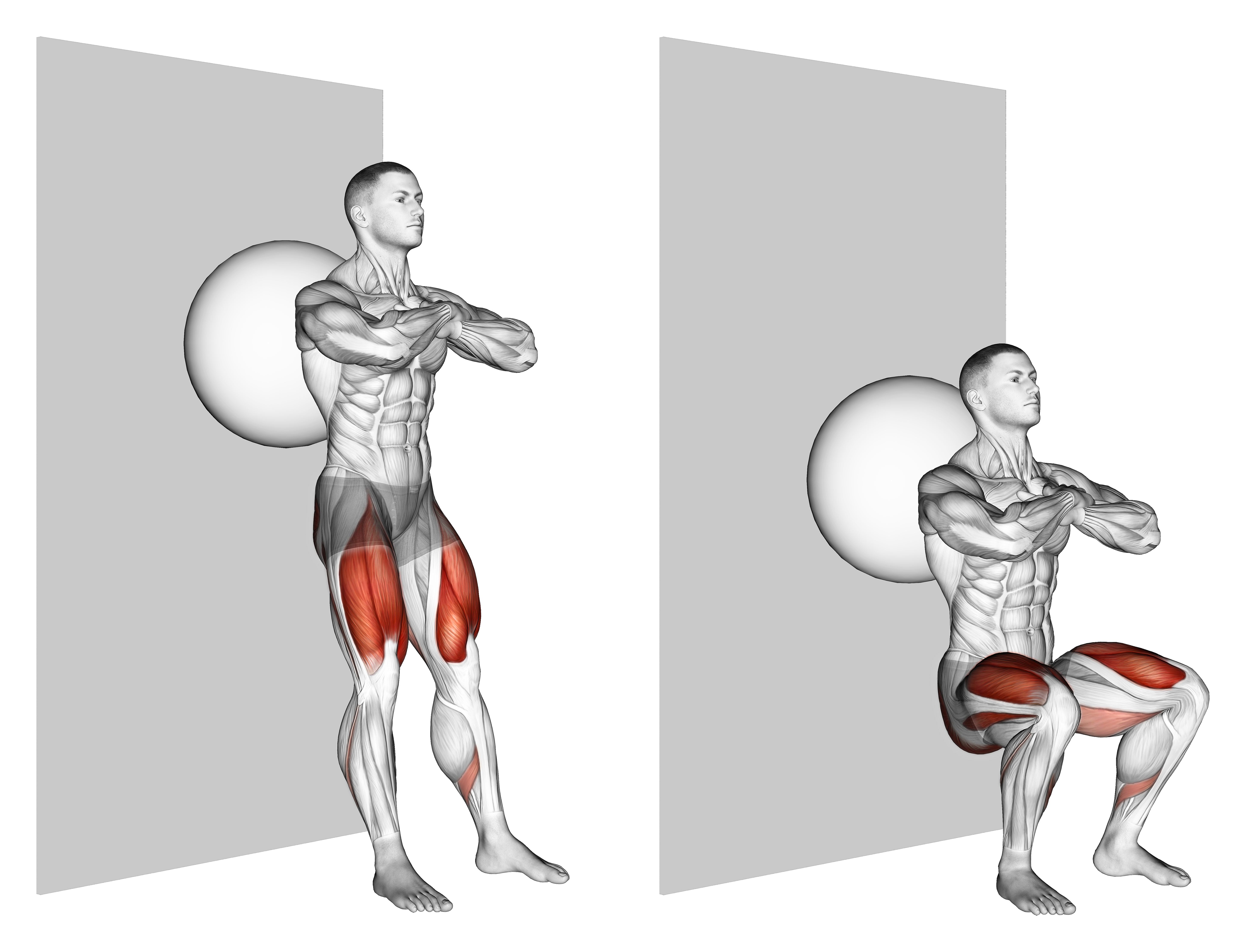 Exercise Ball Wall Squat