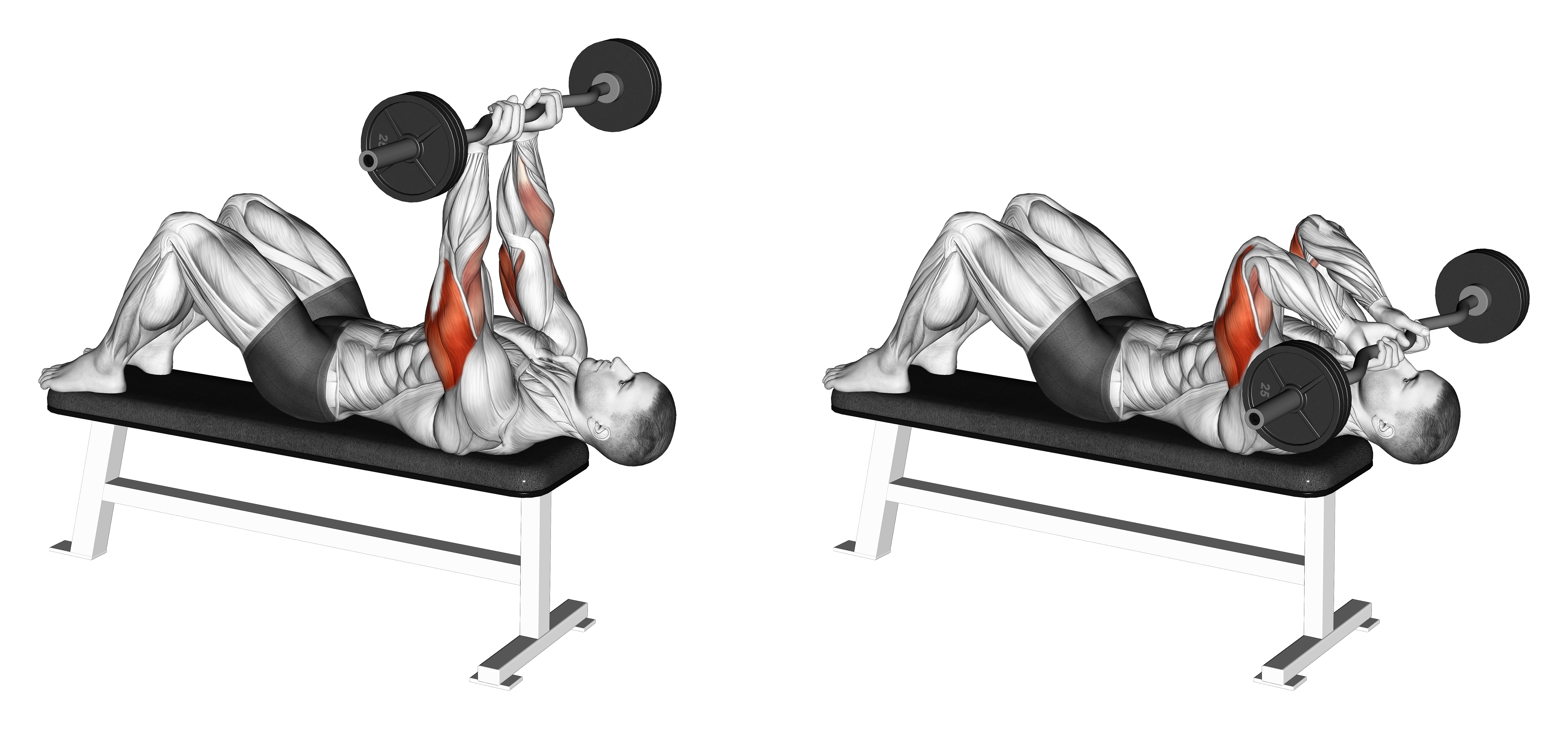 Ez Barbell Decline Close Grip Face Press