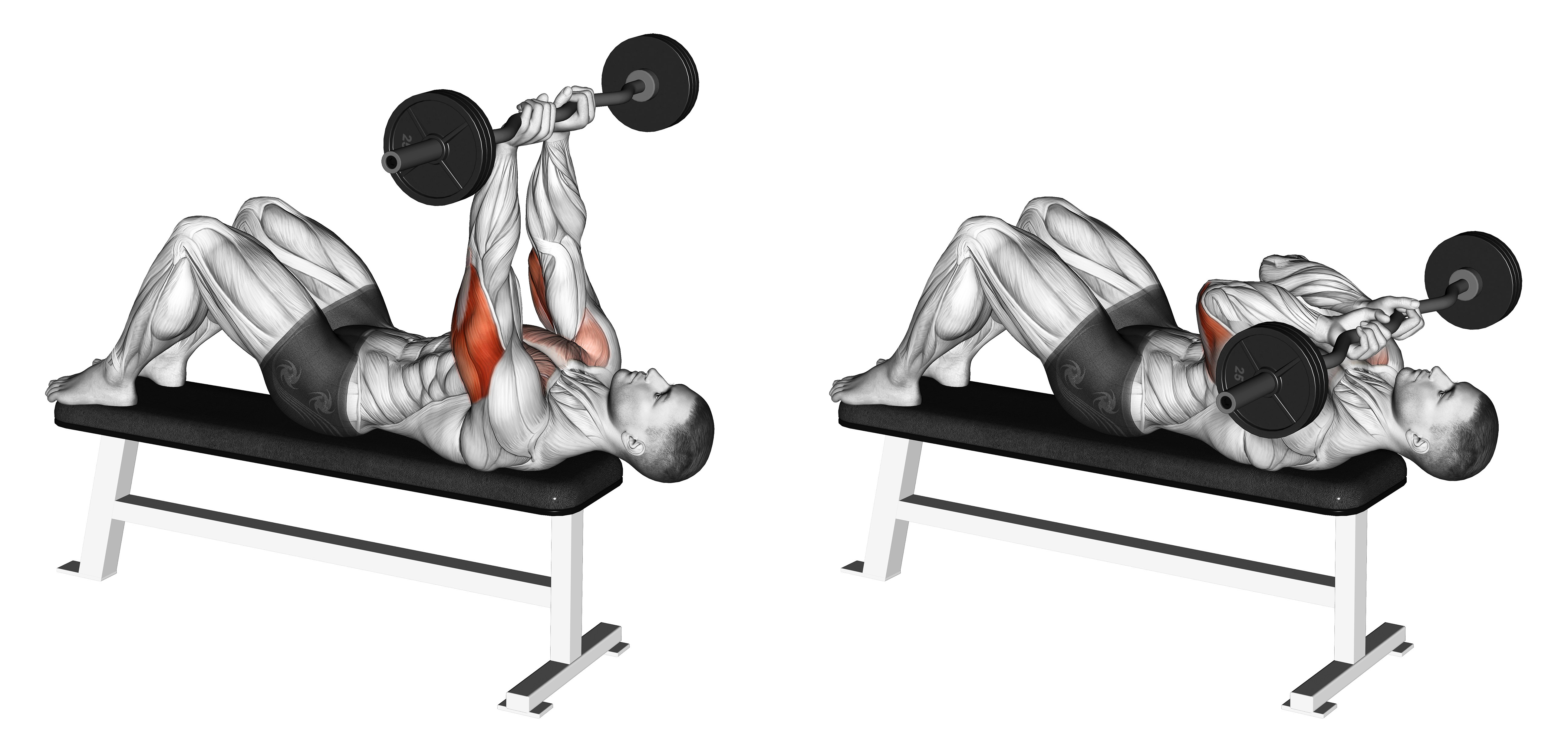 Ez Barbell Jm Bench Press