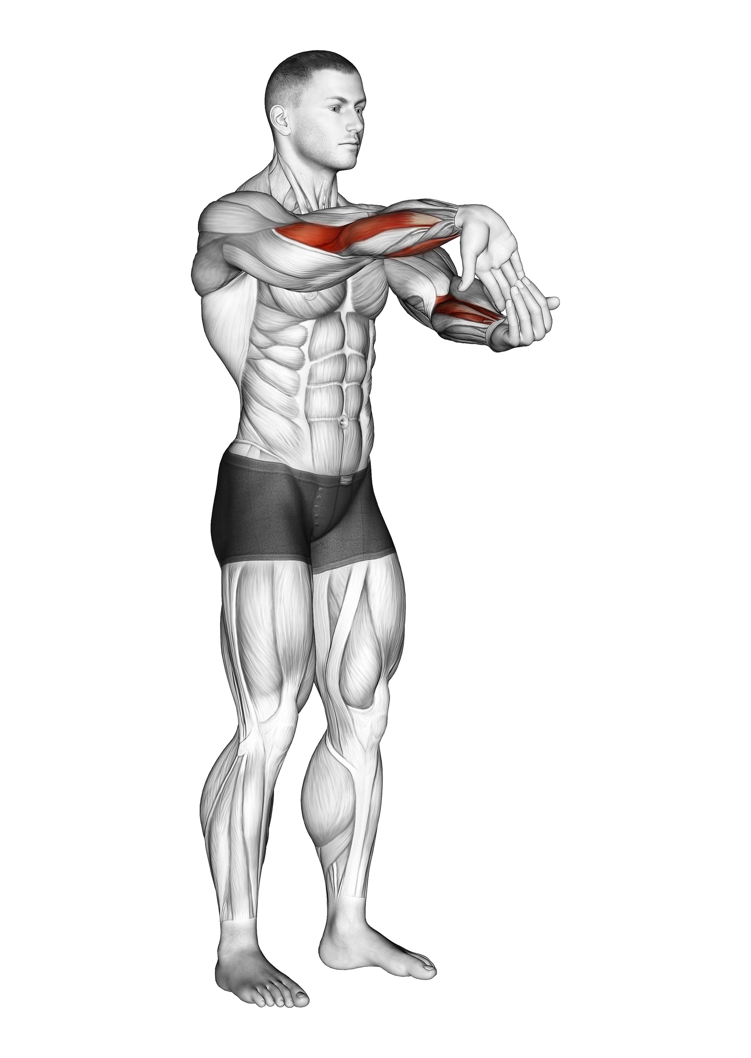 Fingers Down Forearm Stretch