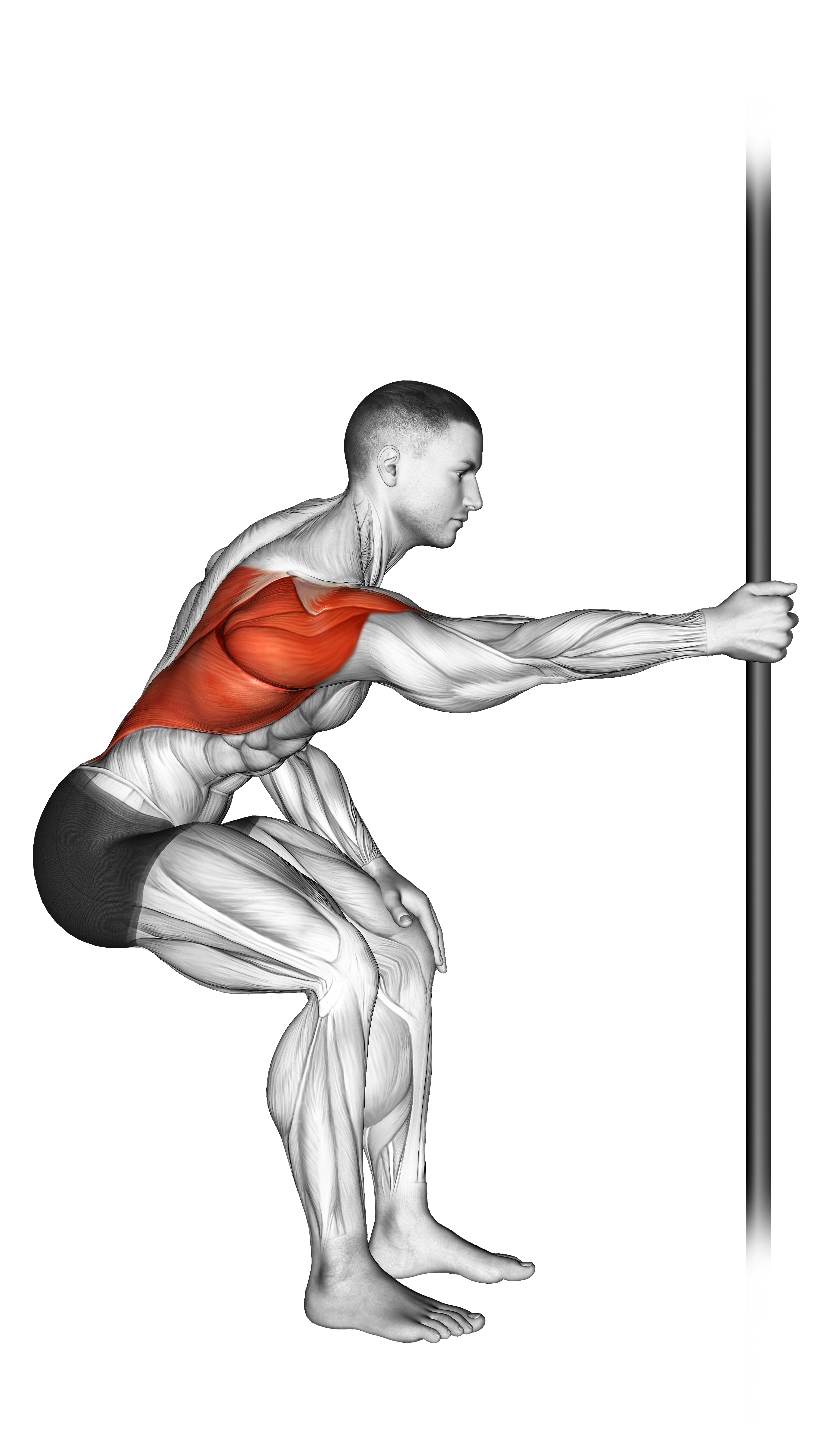 Fixed Bar Back Stretch
