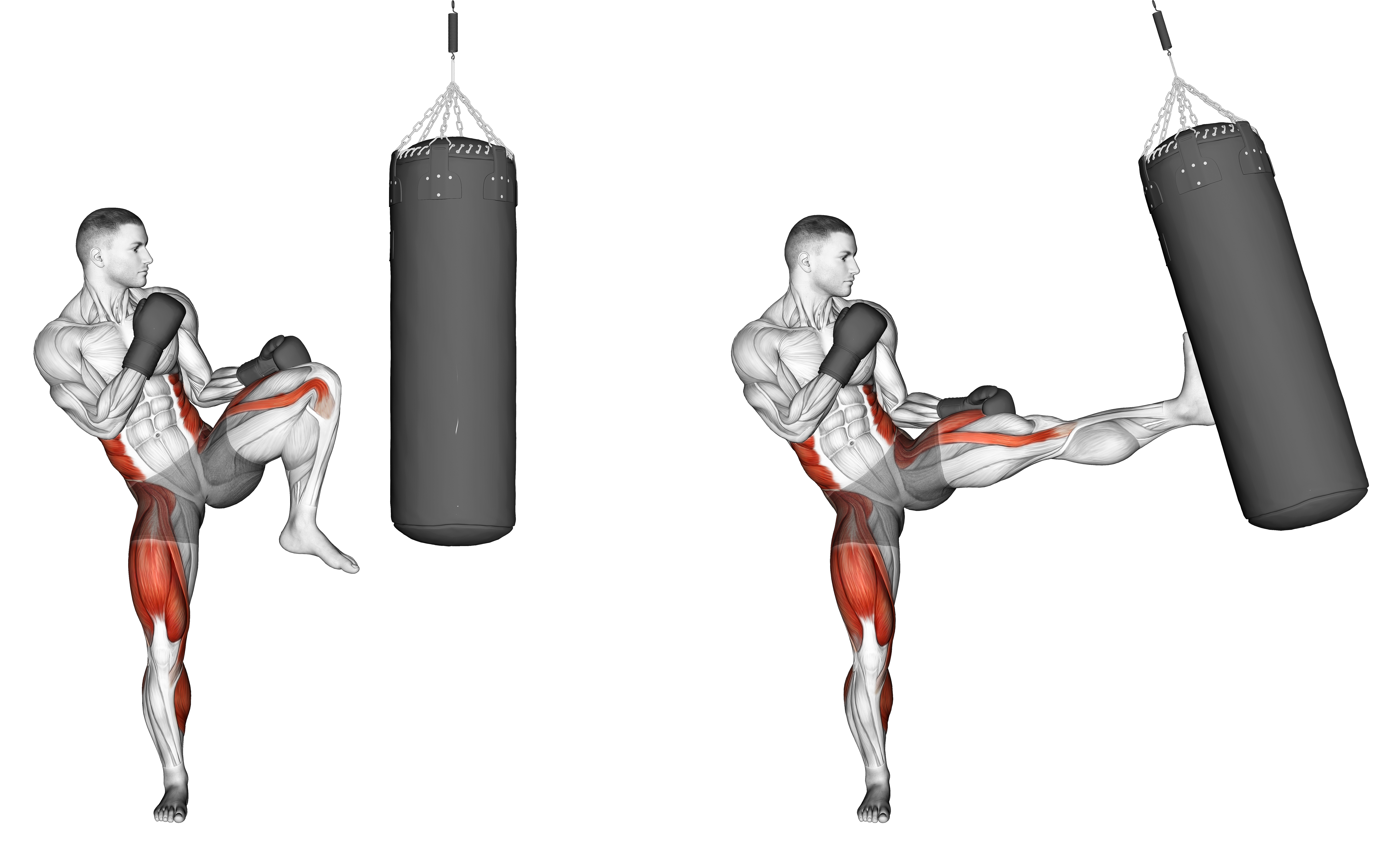 Front Kick Kickboxing (with Boxing Bag)