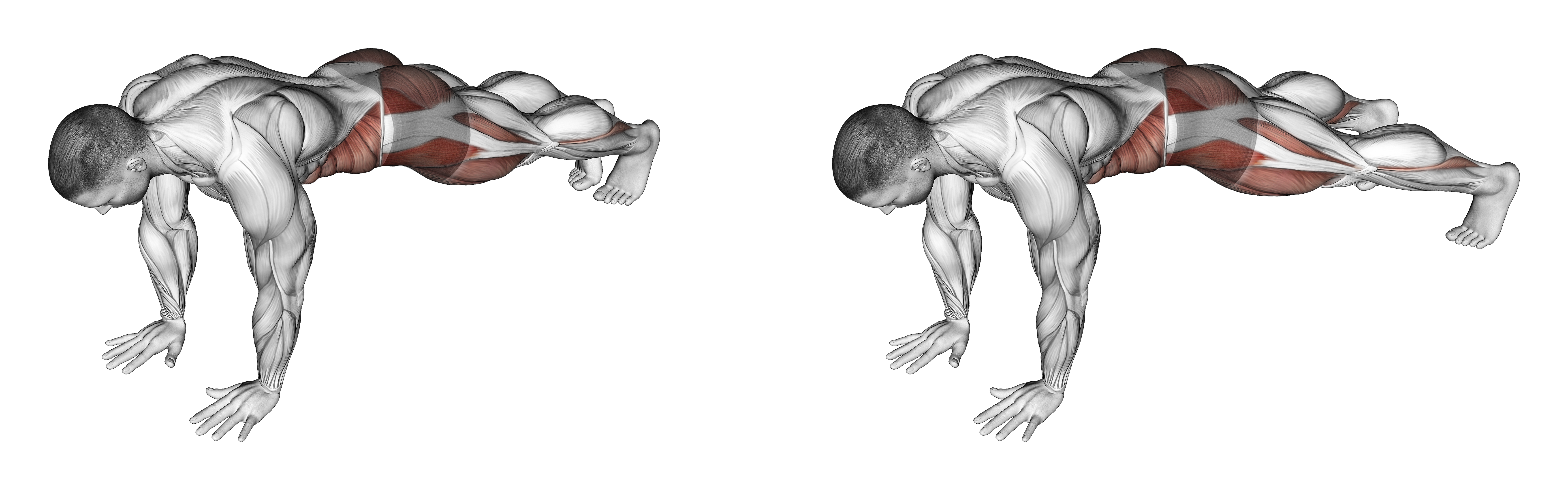 Front Plank Toe Tap