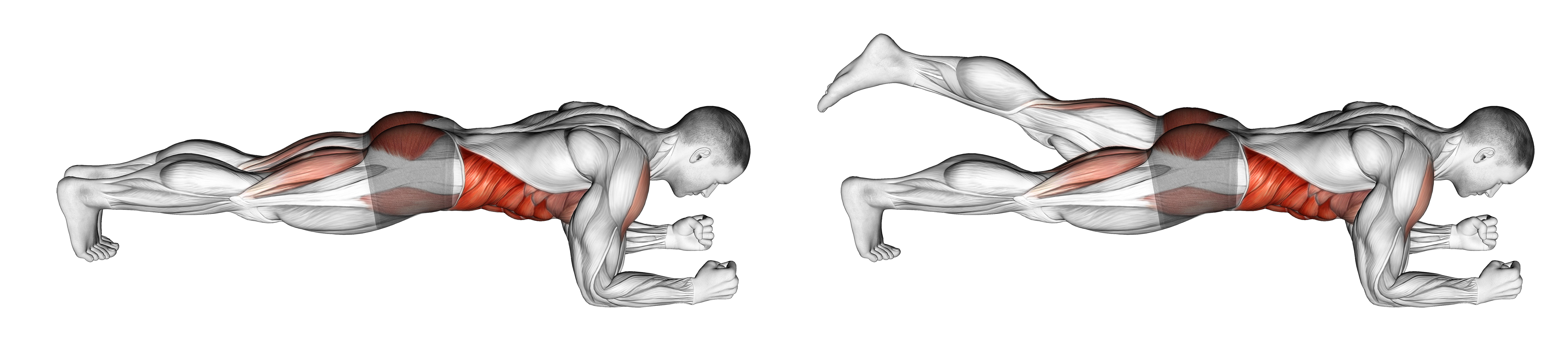 Front Plank With Leg Lift