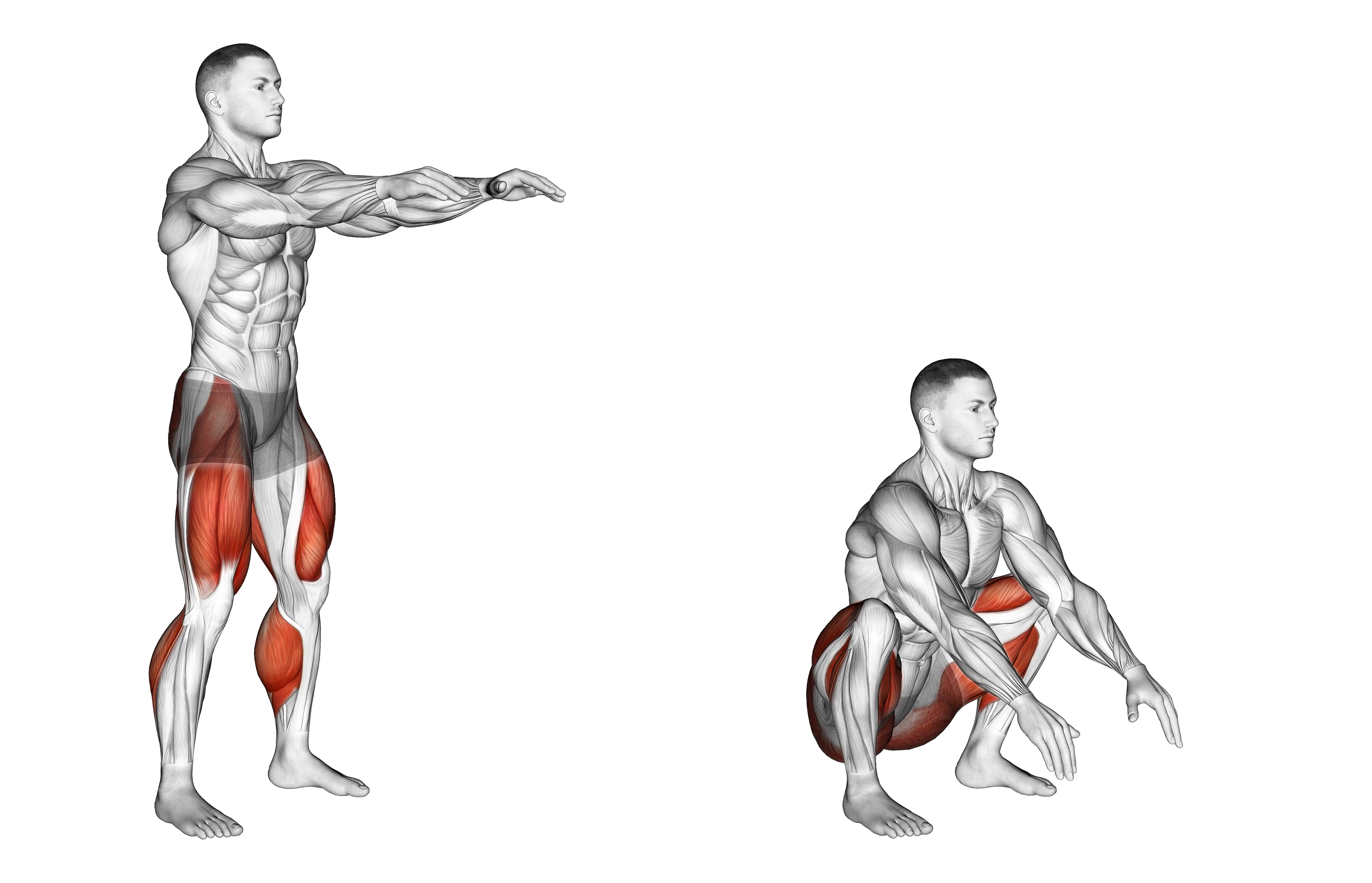 Full Squat Mobility