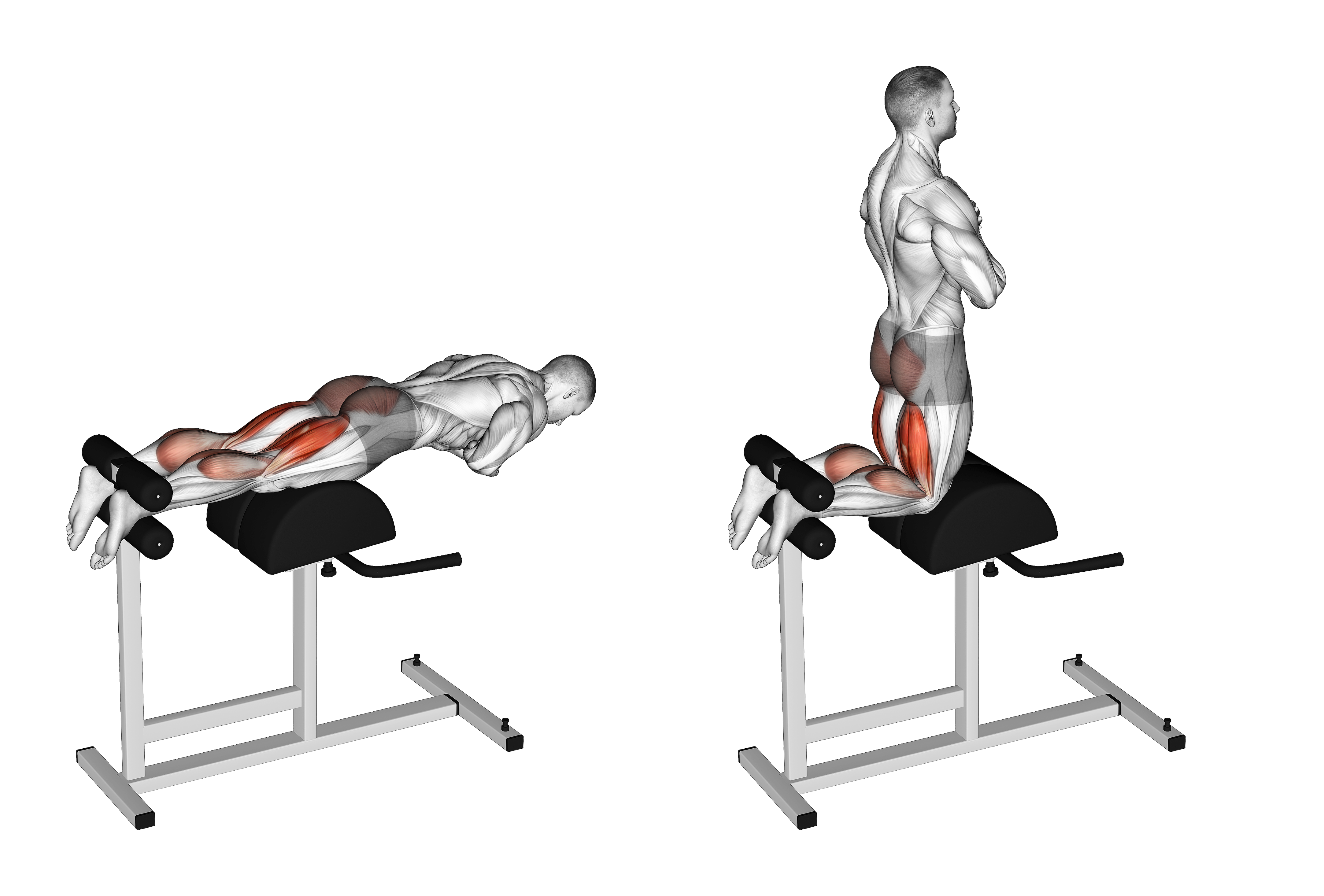 Glute Ham Raise