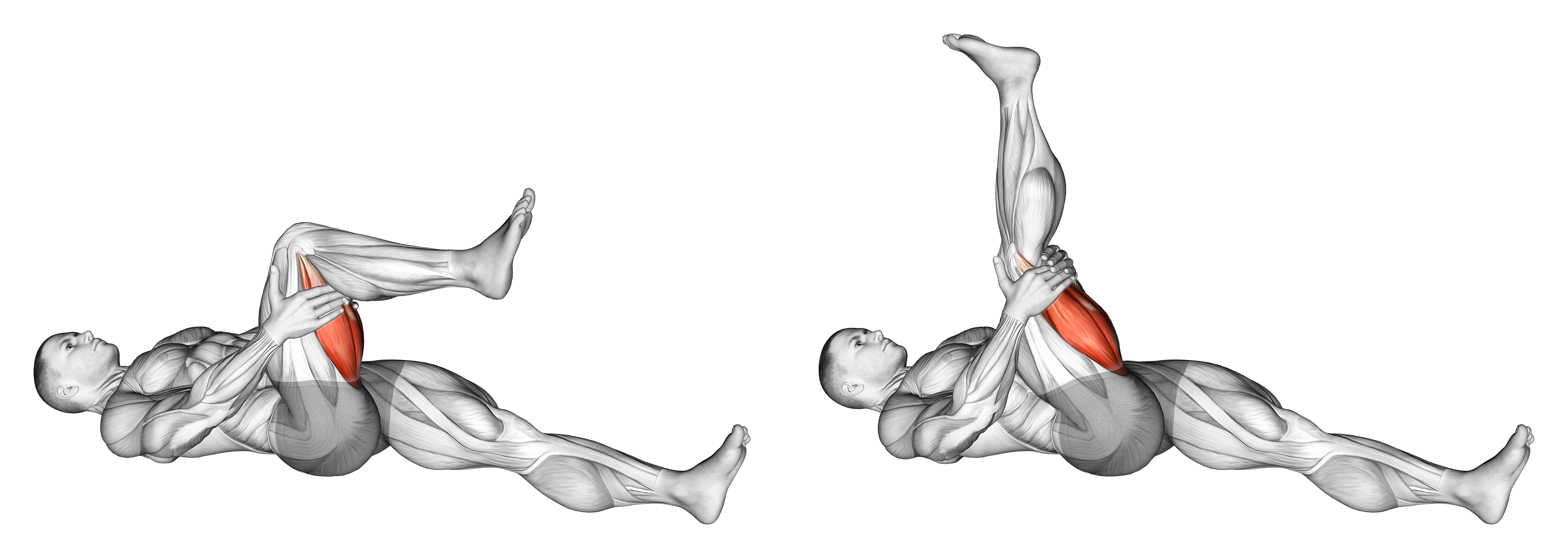 Hamstring Stretch