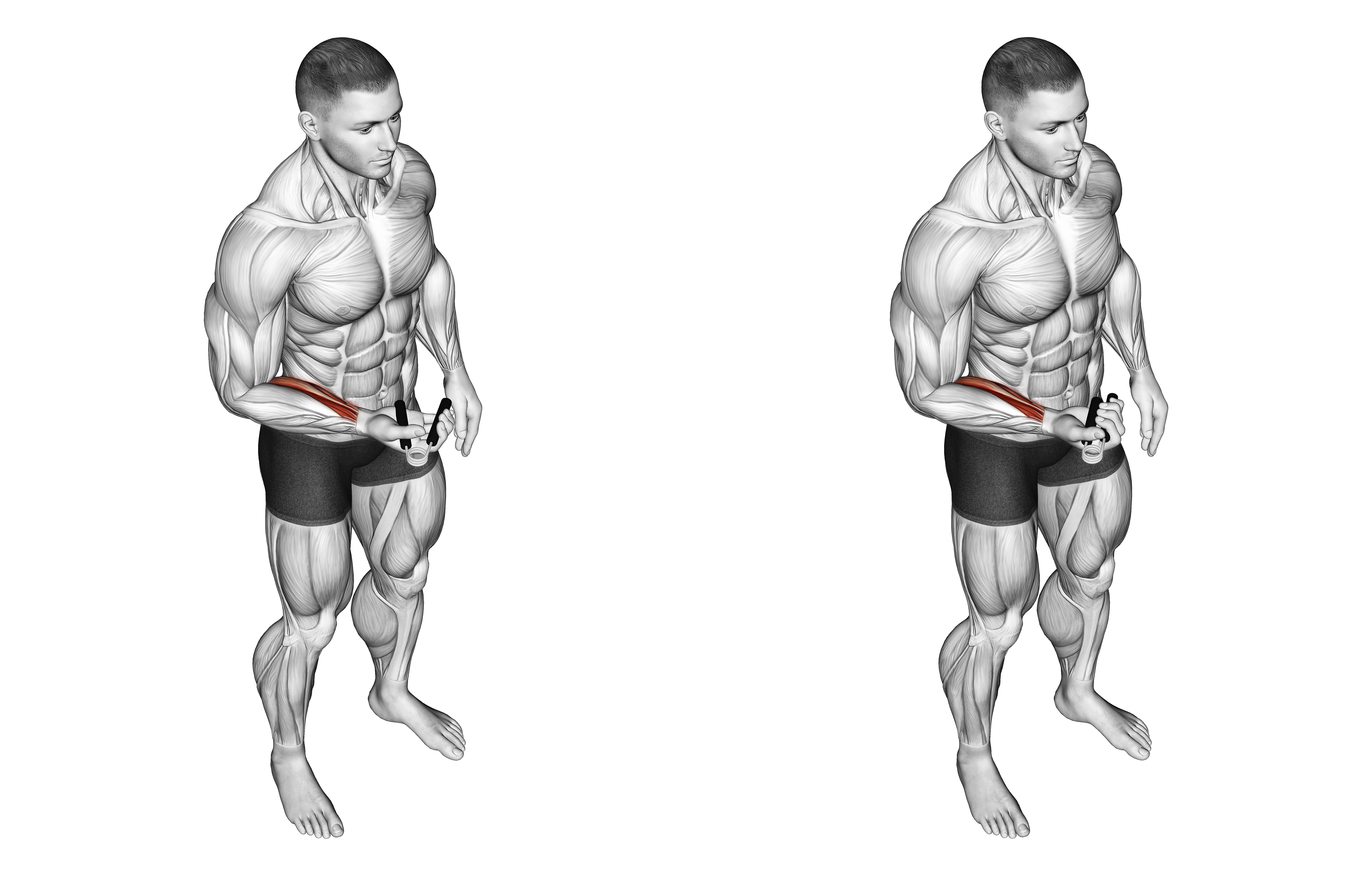 Hand Spring Wrist Curl