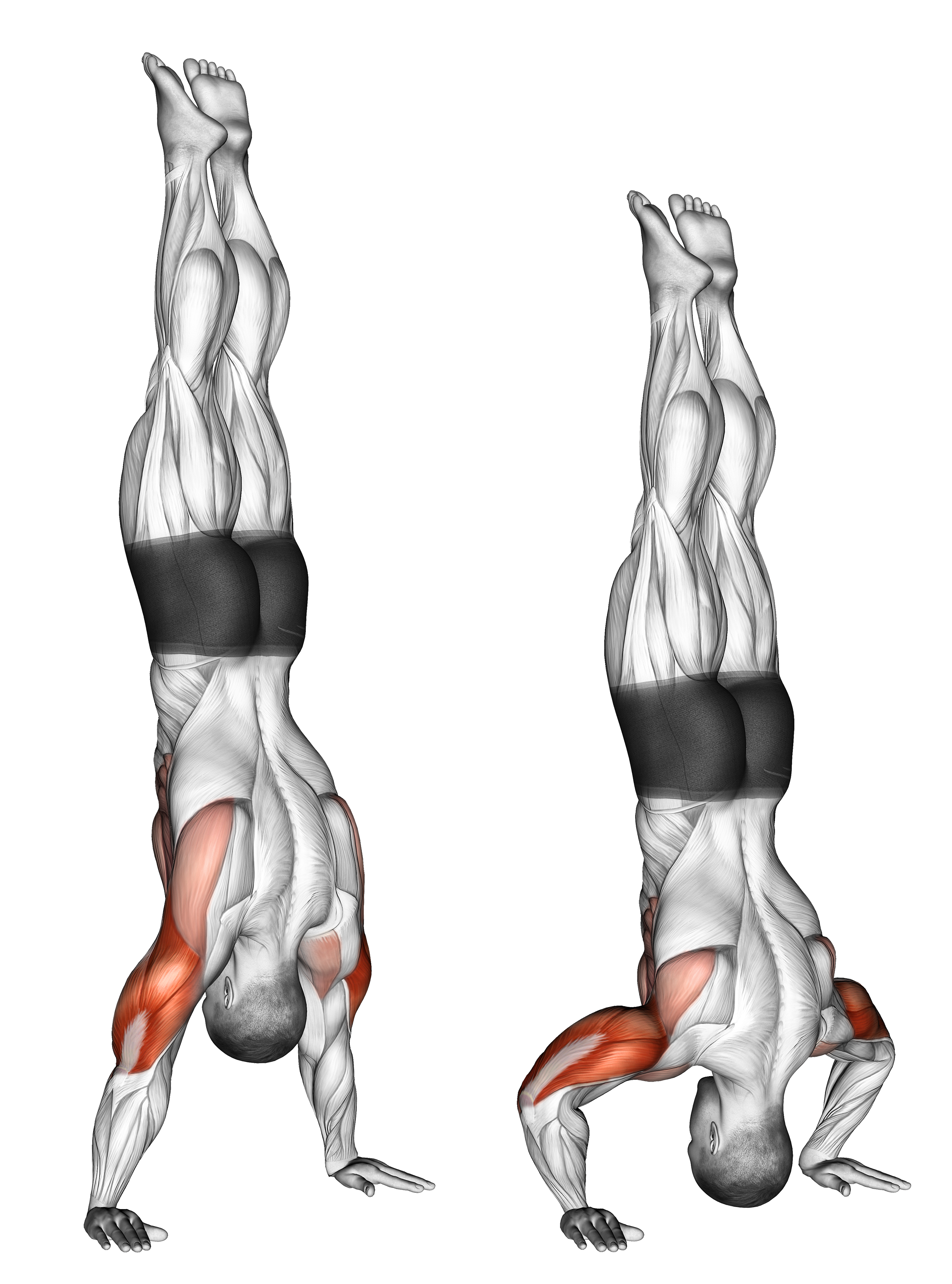 Handstand Push Up