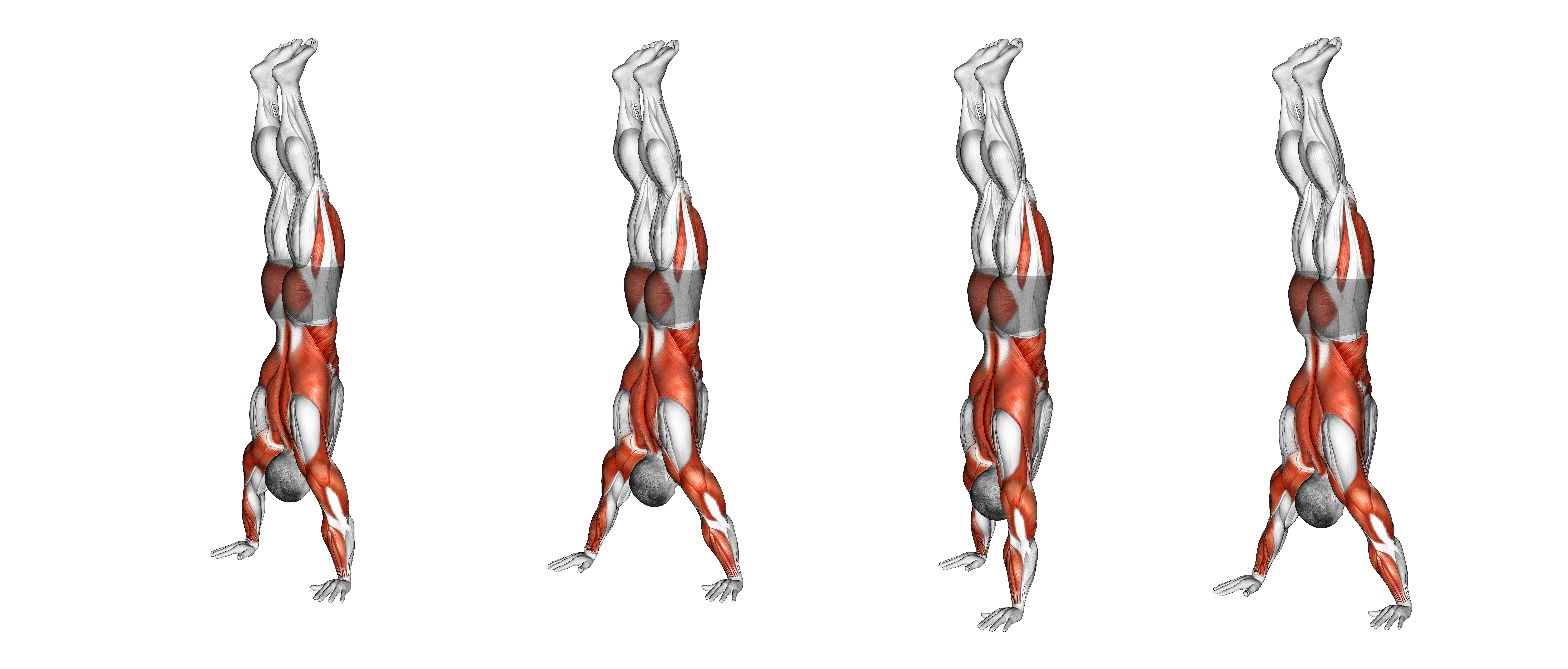 Handstand Walk